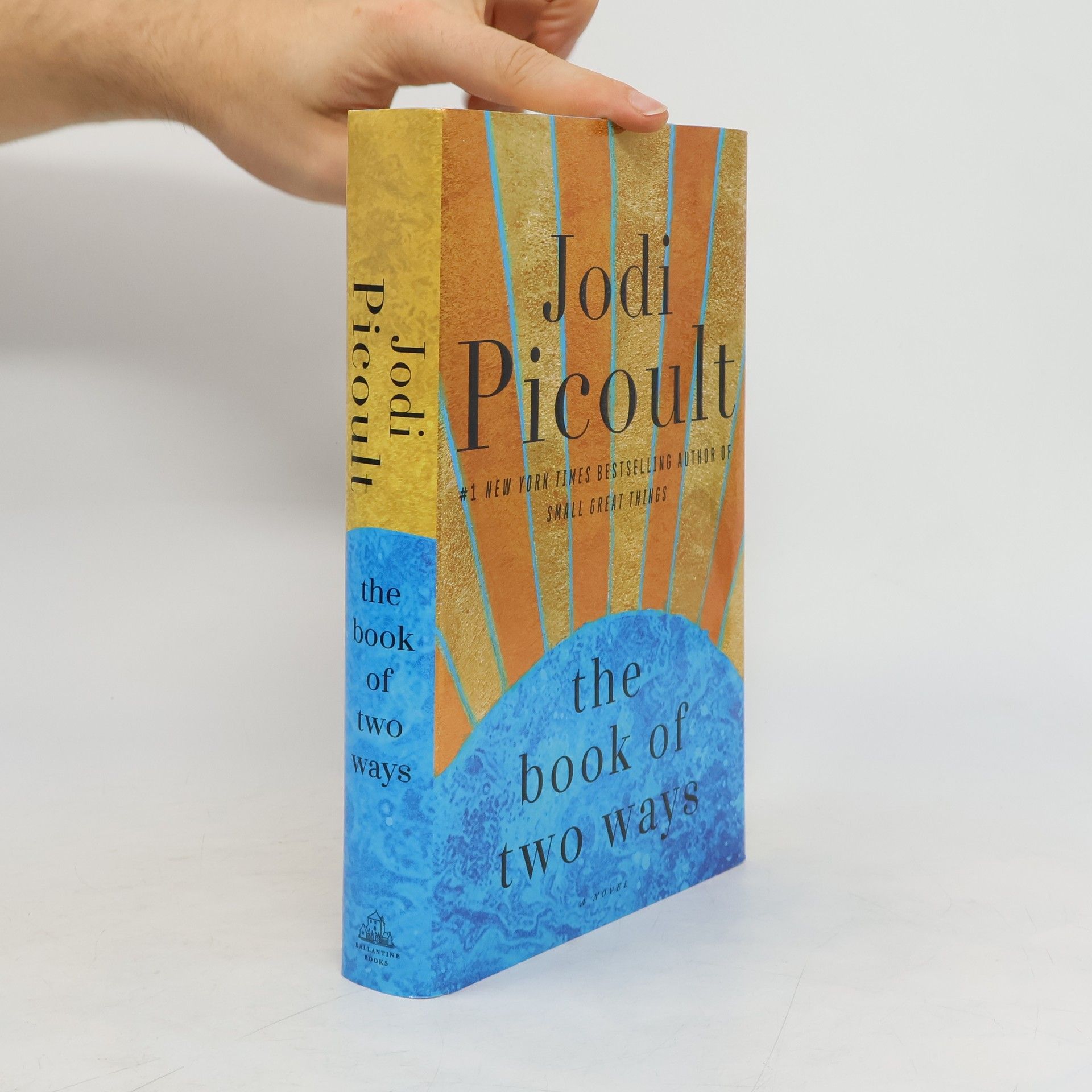 Jodi Picoult The Book of Two Ways