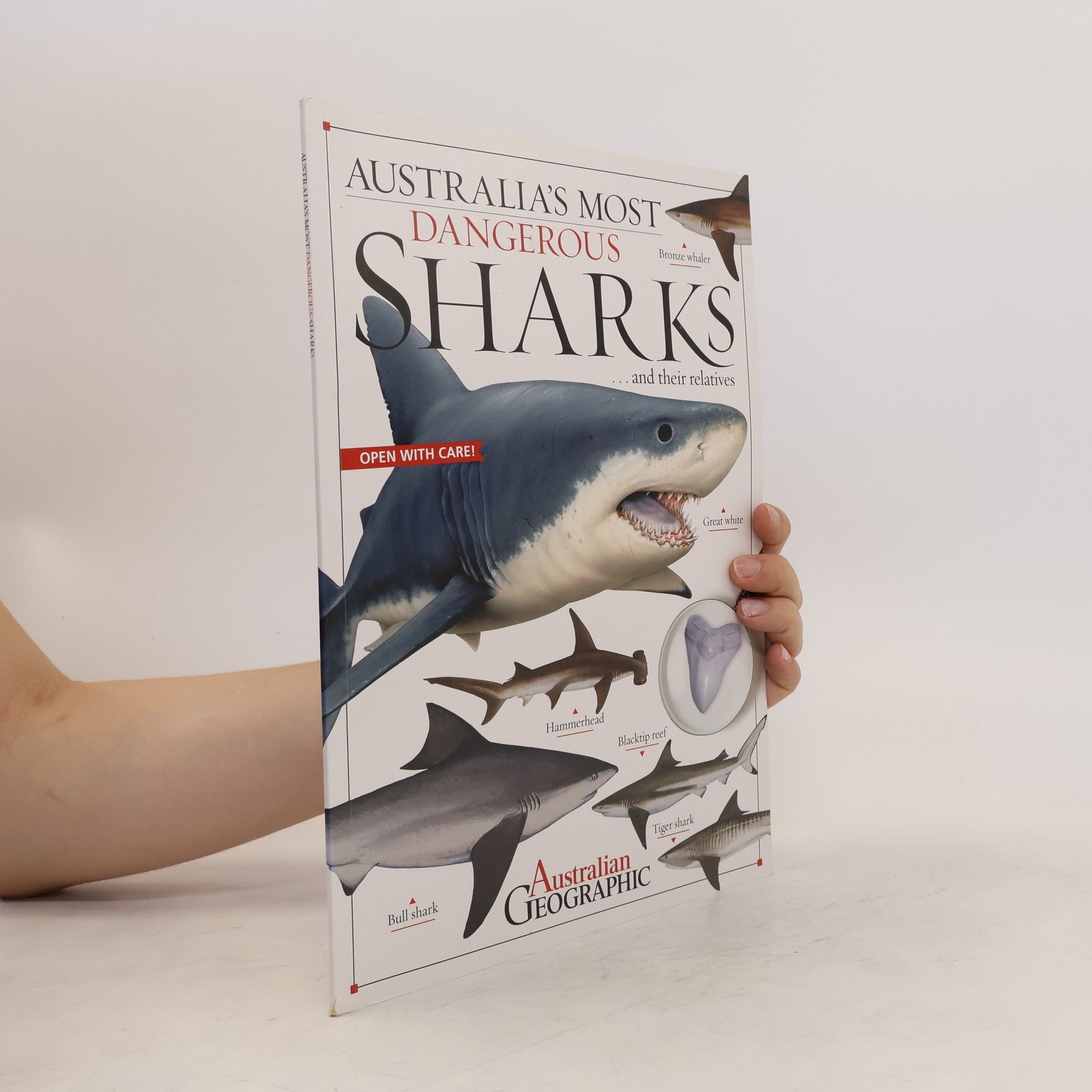 Kathy Riley Australia's Most Dangerous Sharks