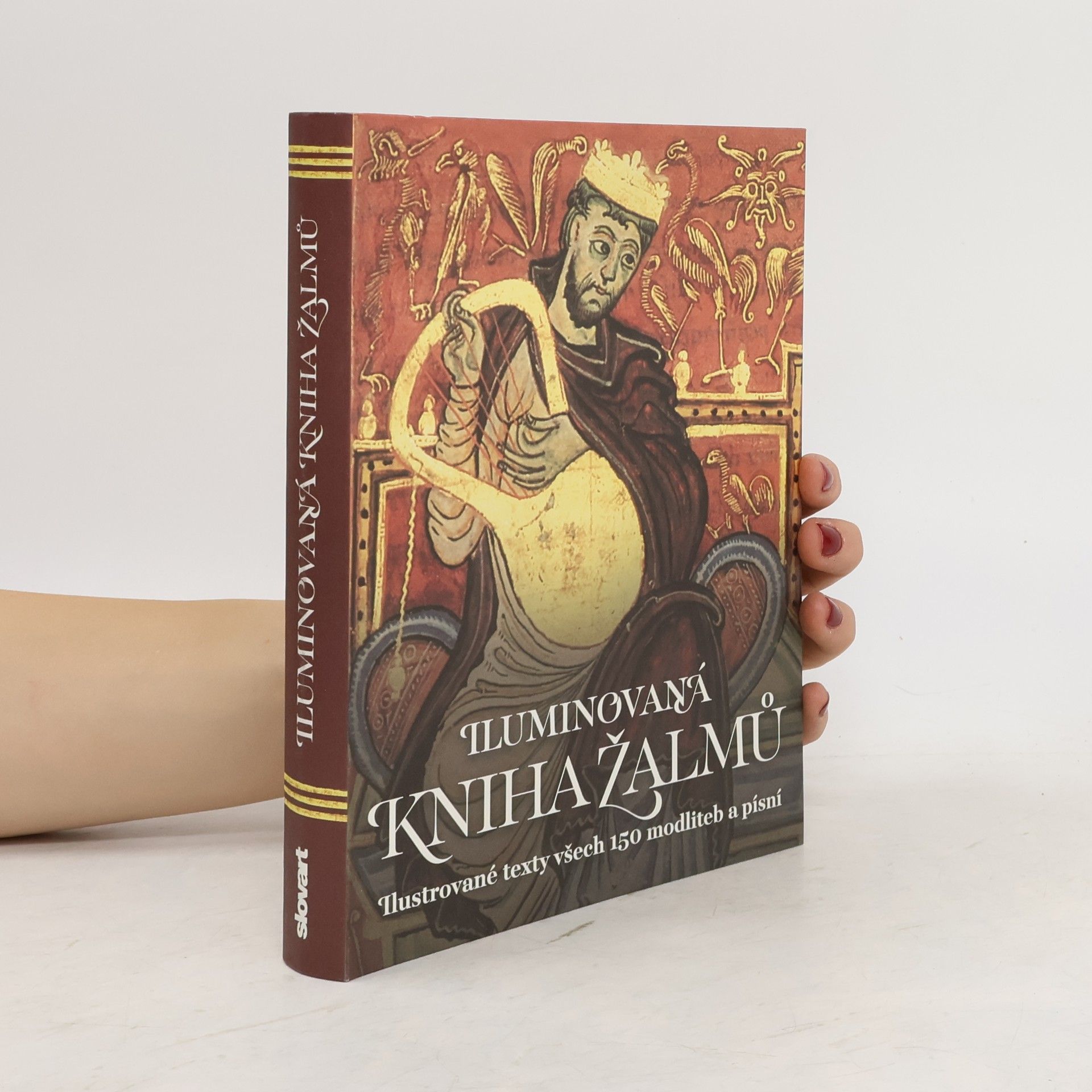 Kolektiv autorů Iluminovaná kniha Žalmů