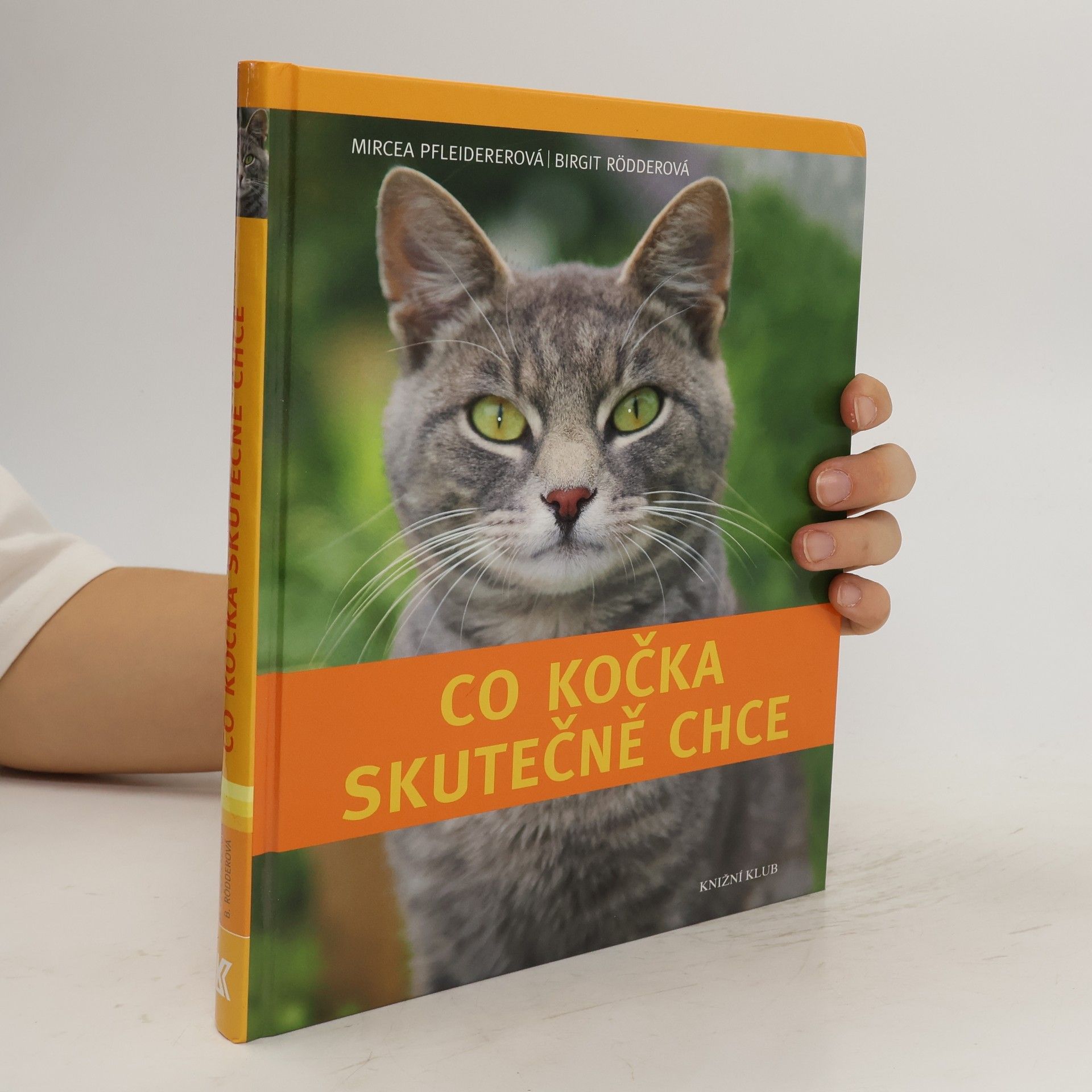 Mircea Pfleiderer-Gruber Co kočka skutečně chce