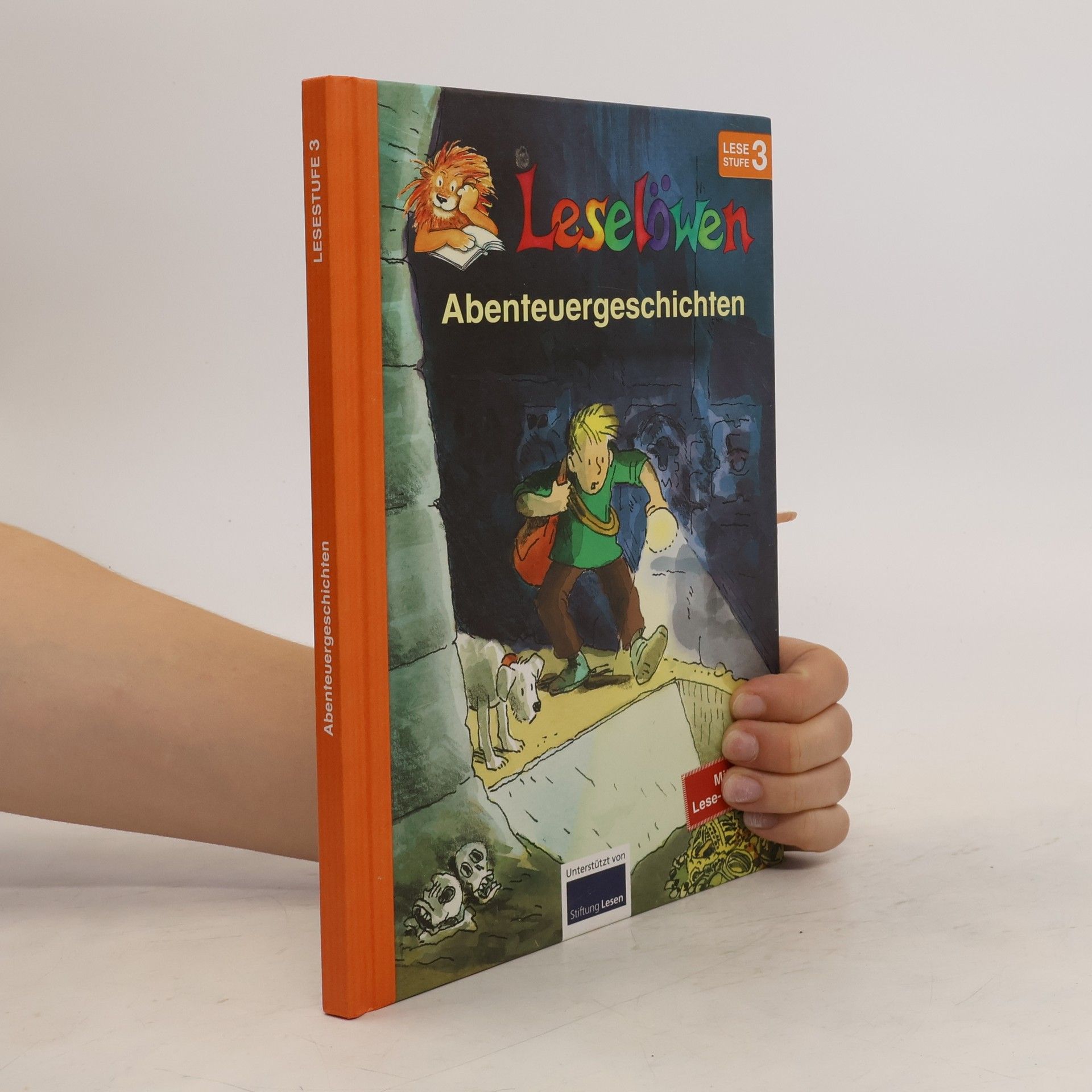 Autorenkollektiv Leselöwen Abenteuergeschichten