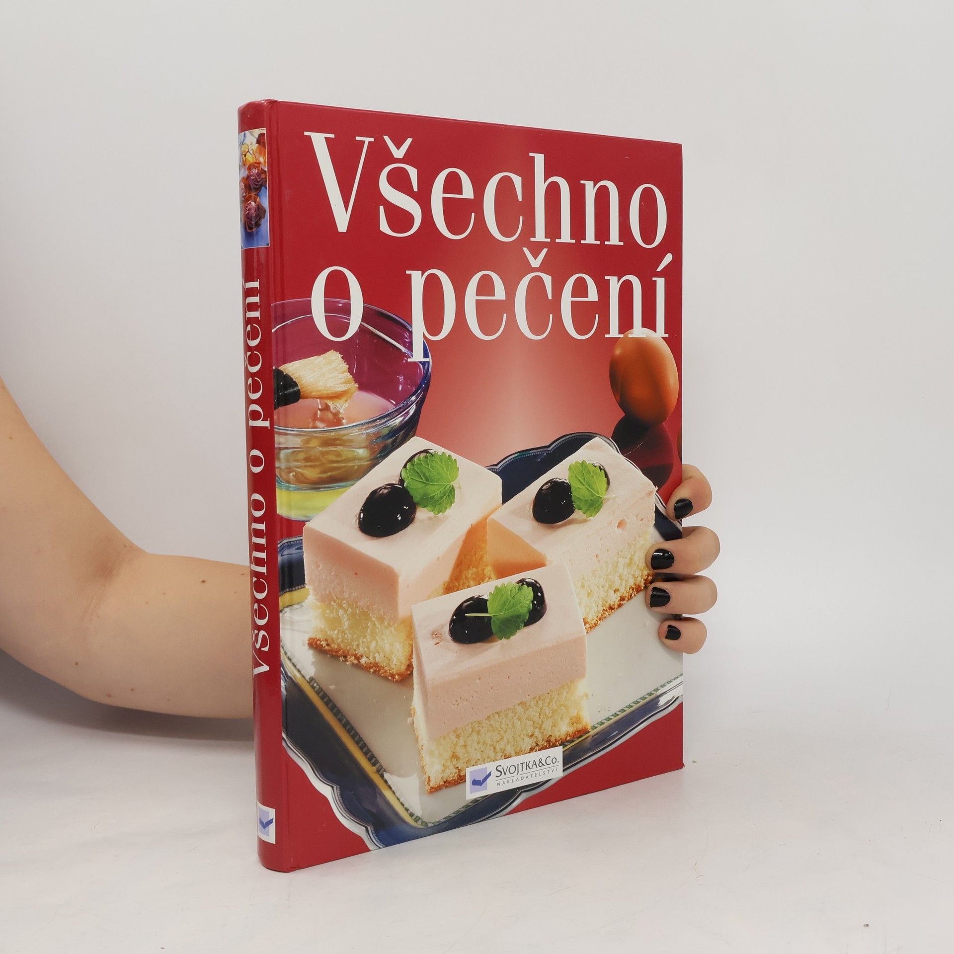 Collectif d'auteurs Všechno o pečení