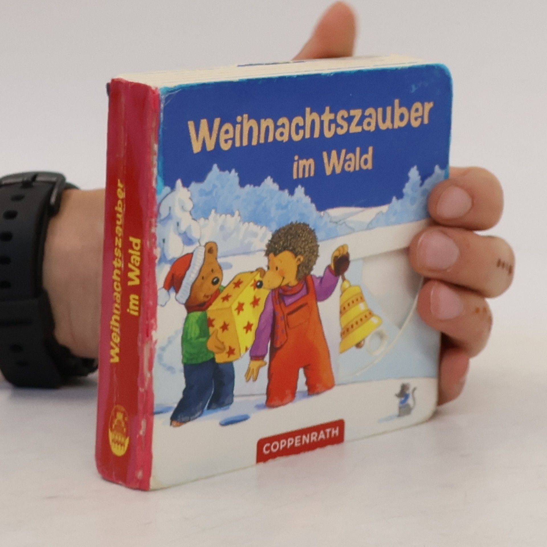 Kerstin M. Schuld Weihnachtszauber im Wald