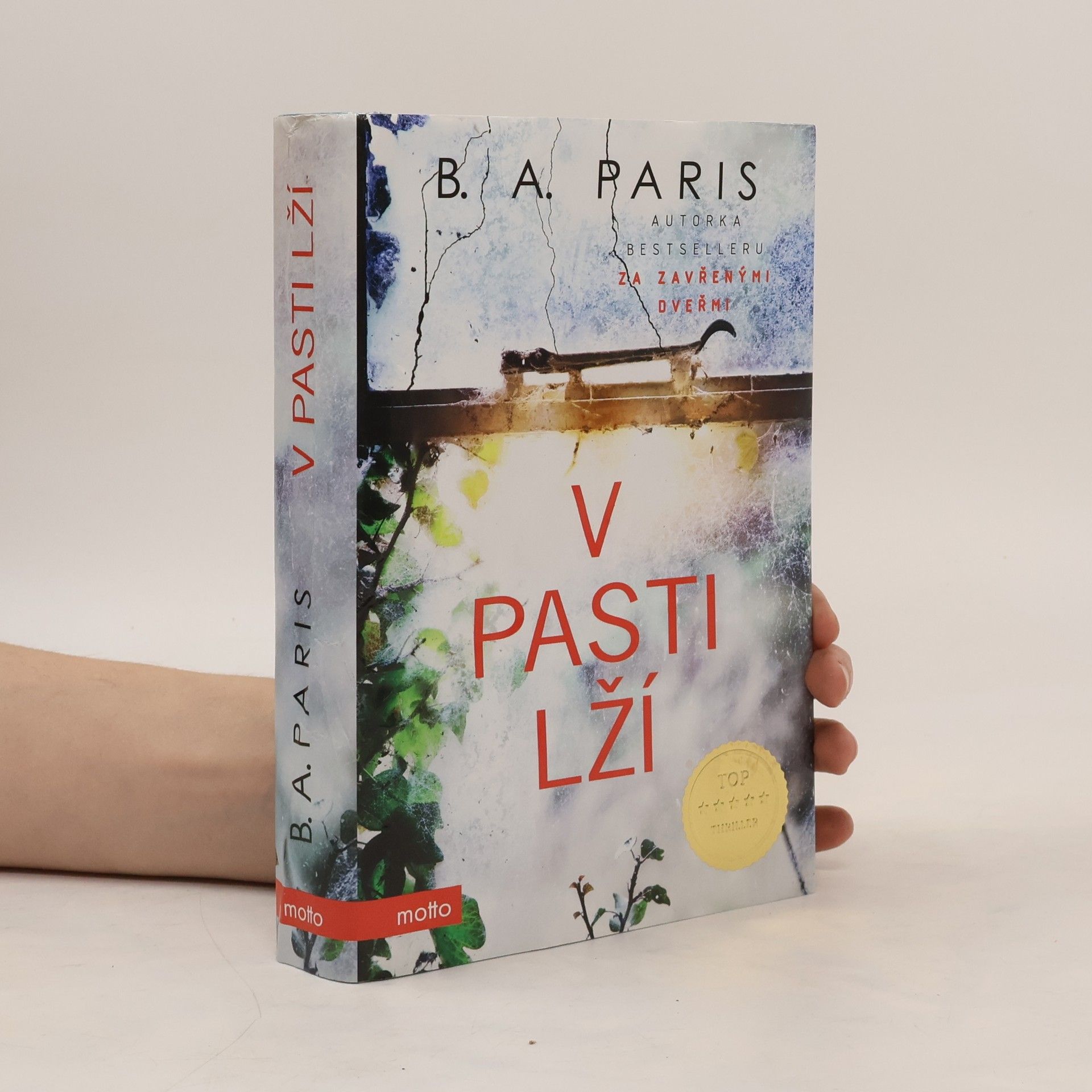 B.A. Paris V pasti lží
