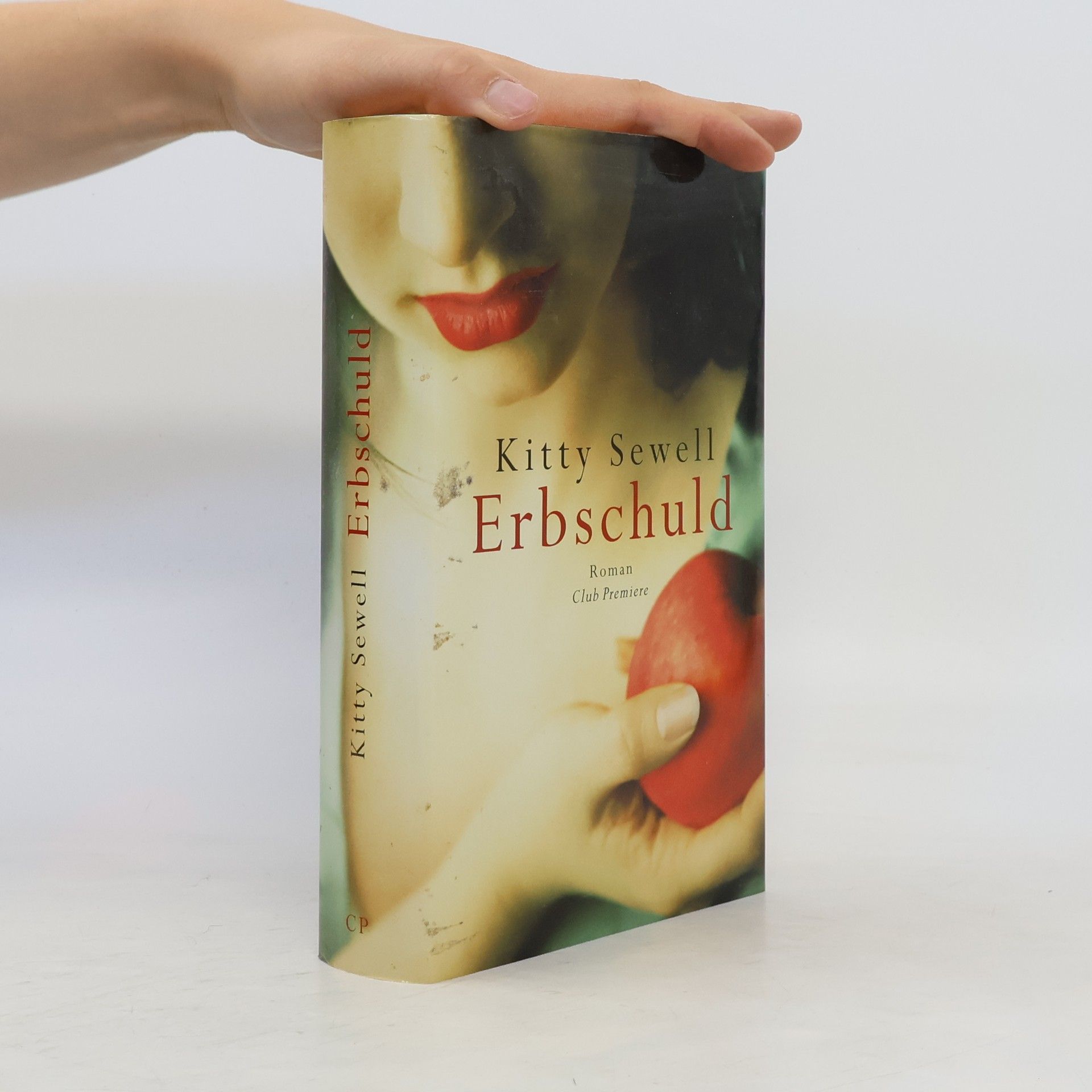 Kitty Sewell Erbschuld