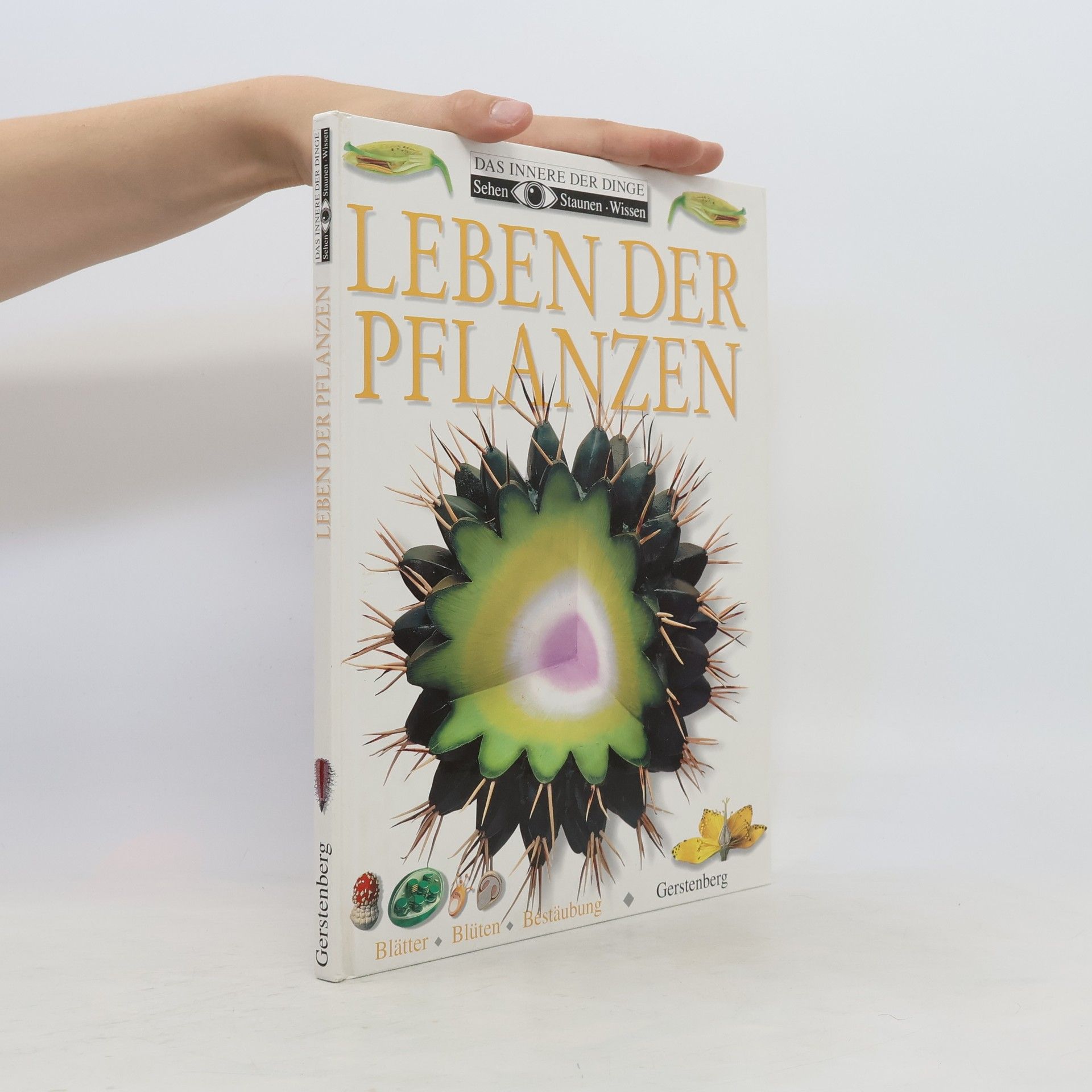 Barbara Taylor Bradford Leben der Pflanzen