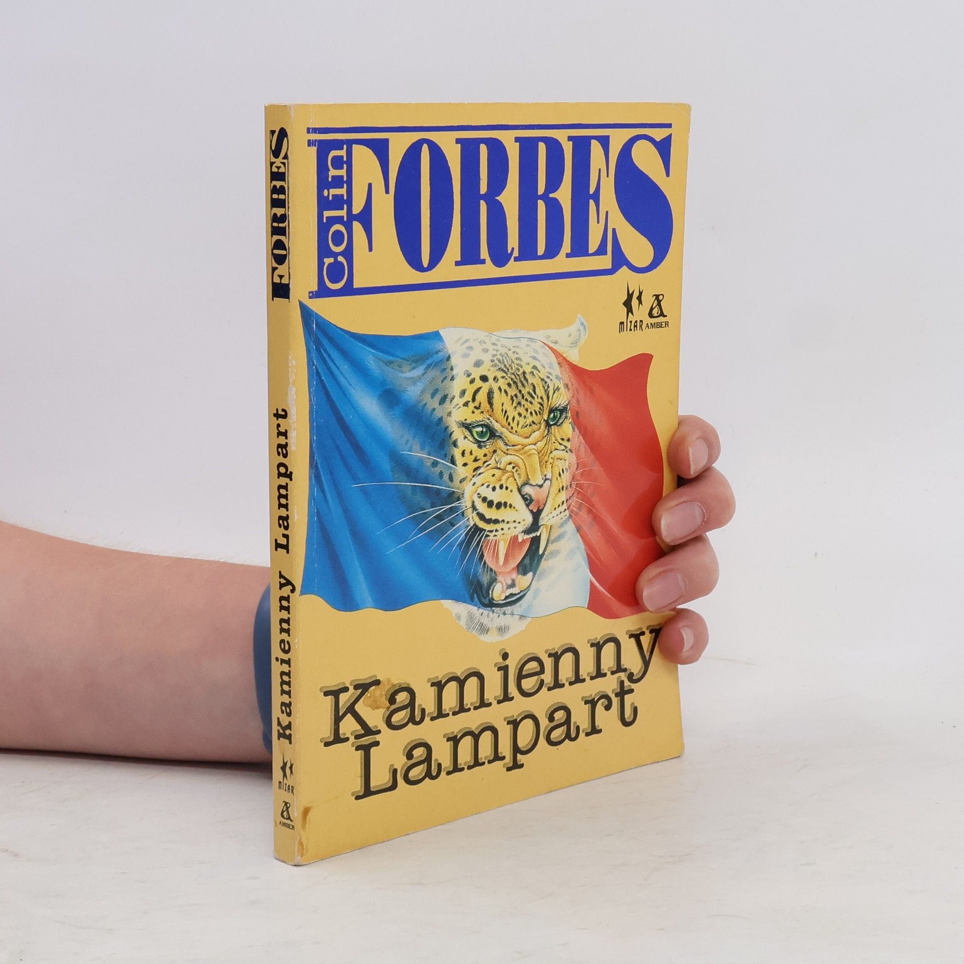 Colin Forbes Kamienny Lampart