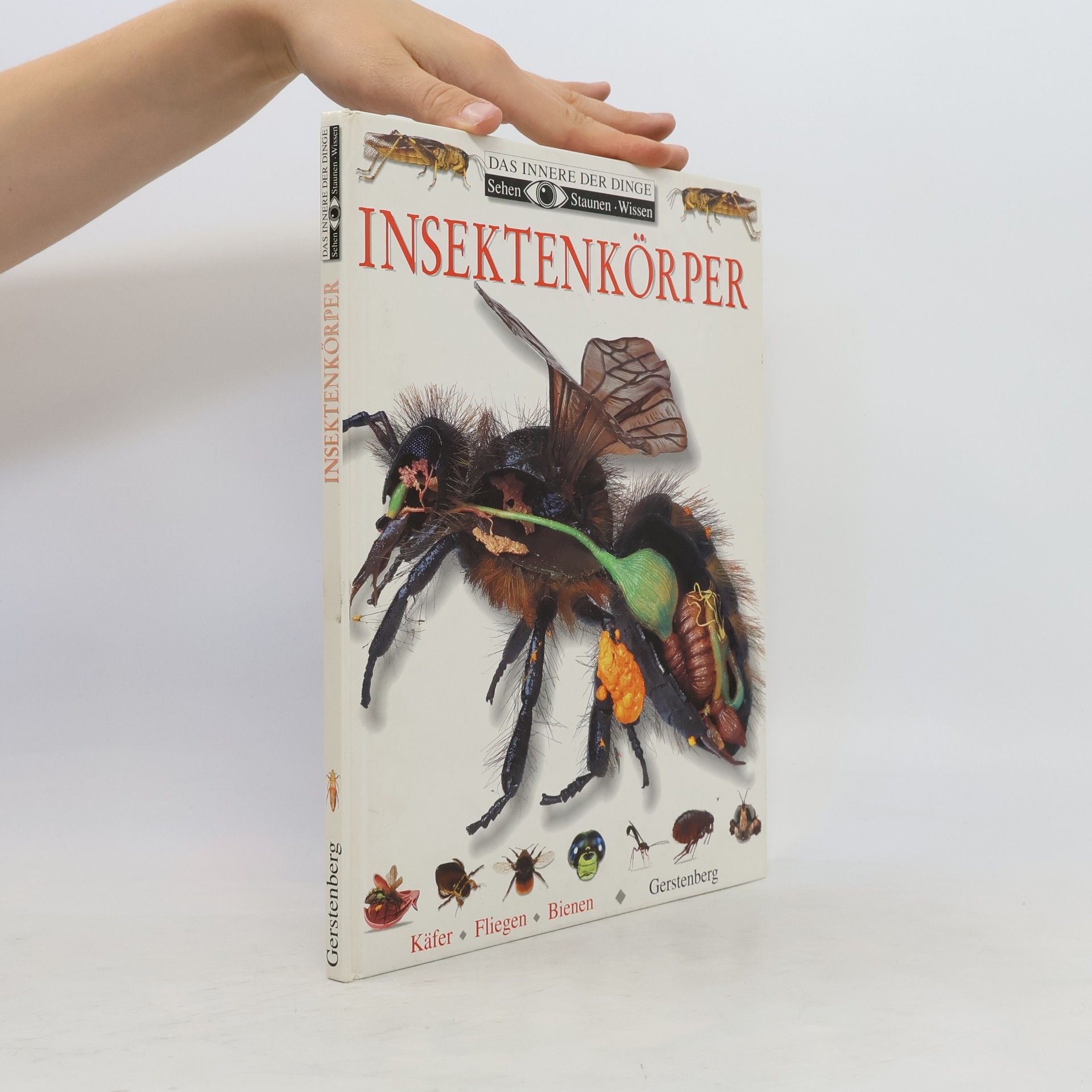 Miranda MacQuitty Insektenkörper
