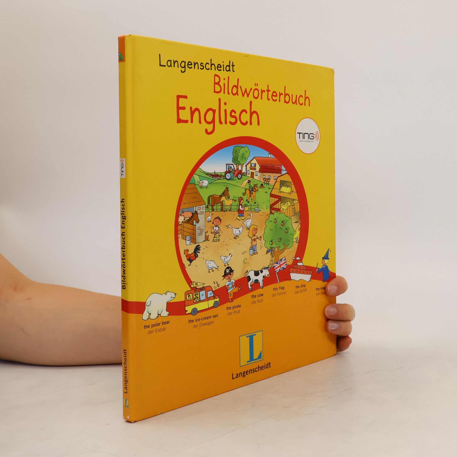 Sandra Schmidt Langenscheidt, Bildwörterbuch Englisch