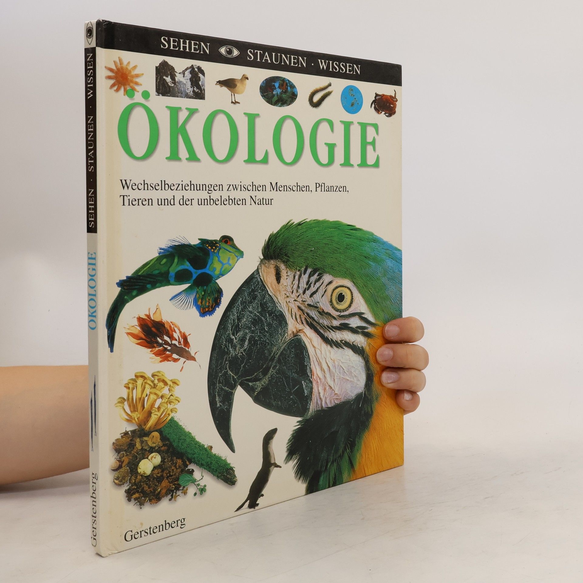 Steve Pollack Ökologie
