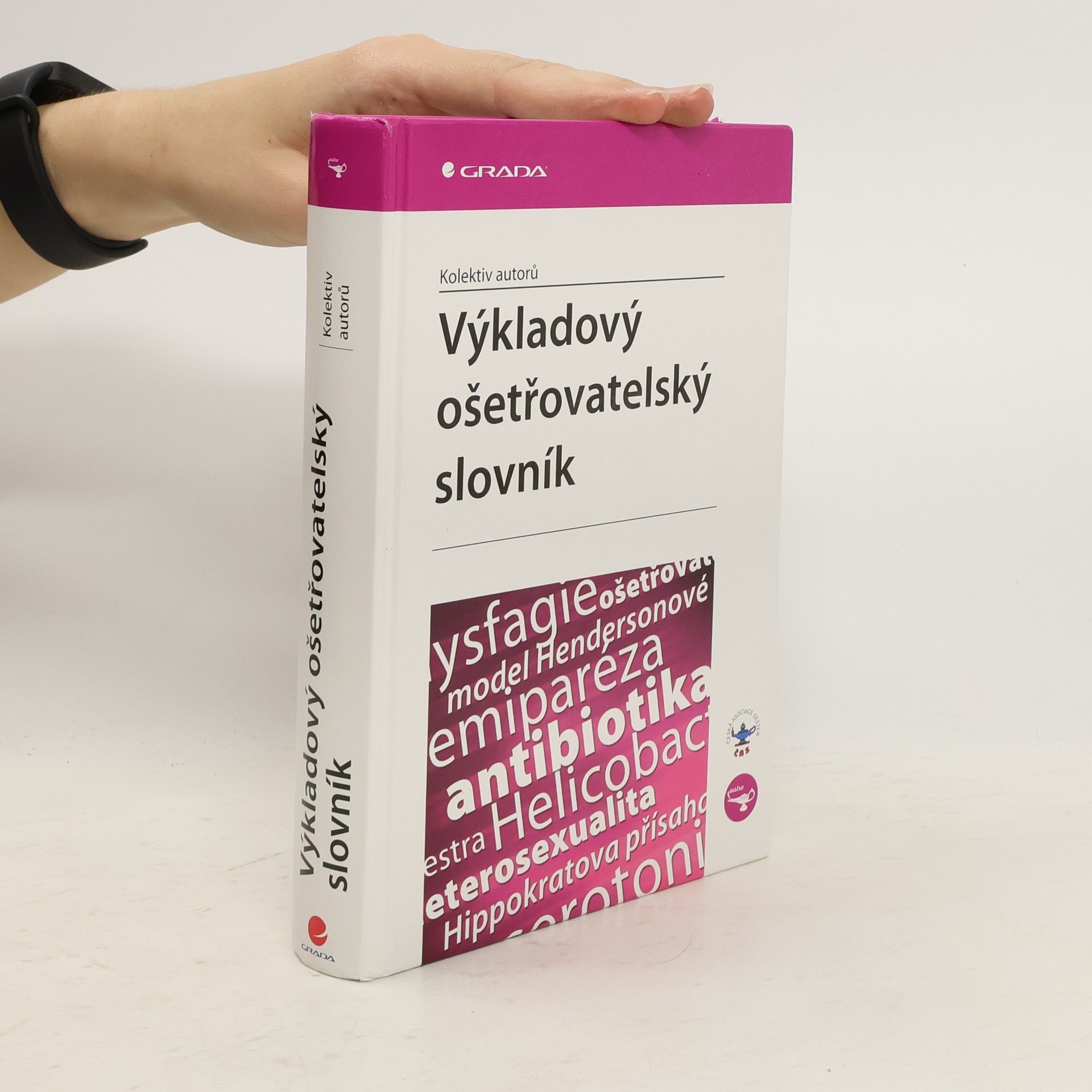 Collectif d'auteurs Výkladový ošetřovatelský slovník