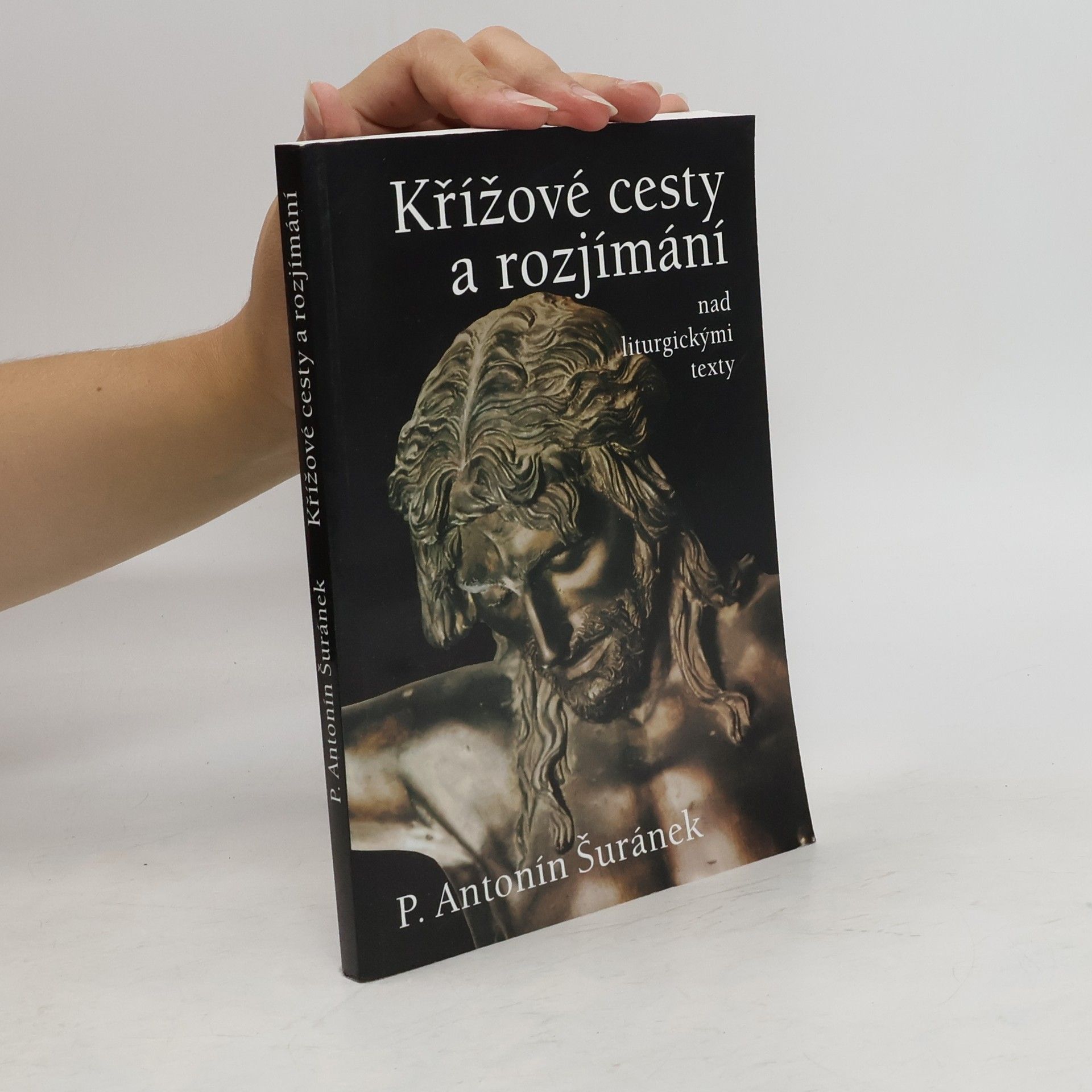 Křížové cesty a rozjímání nad liturgickými texty