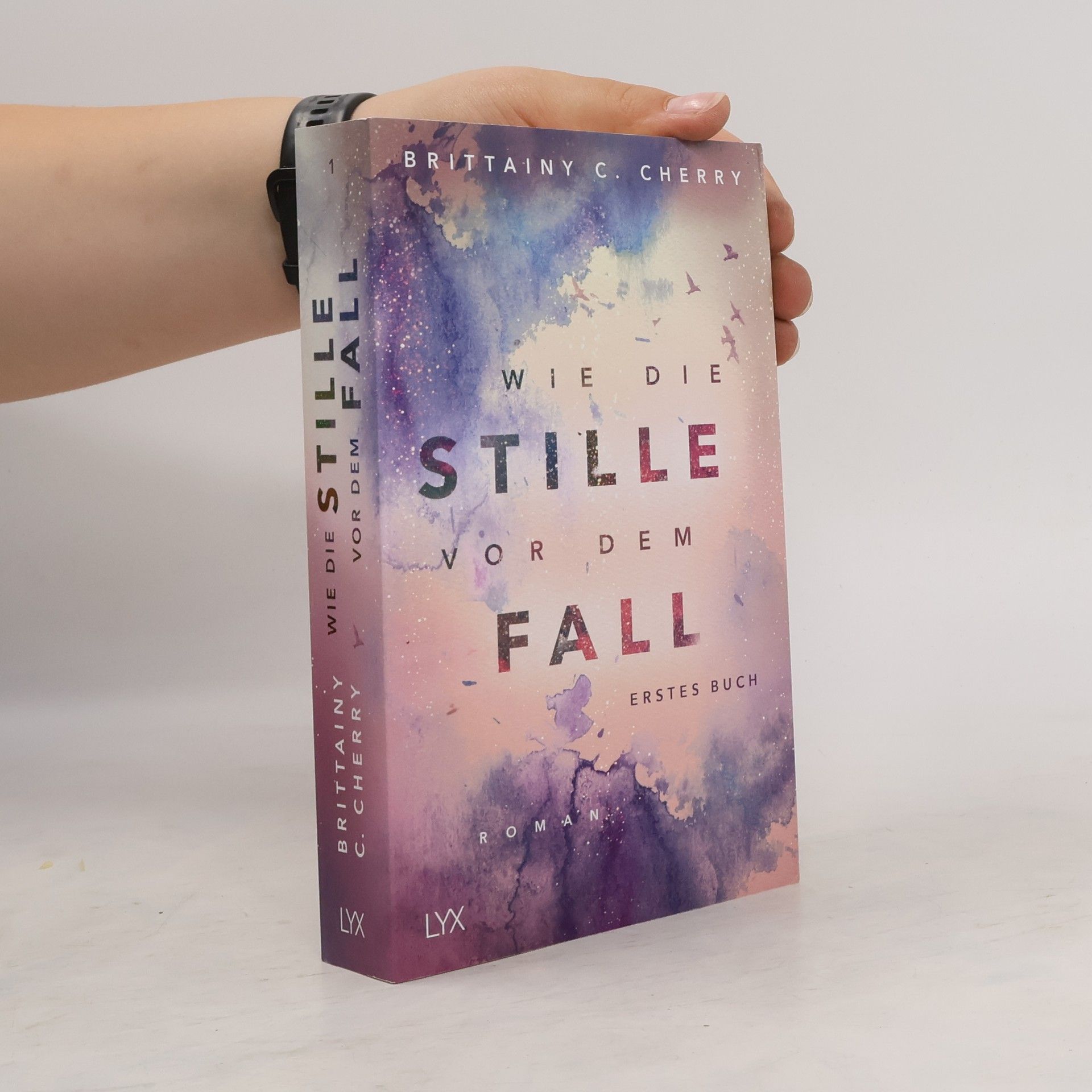 Brittainy C. Cherry Wie die Stille vor dem Fall