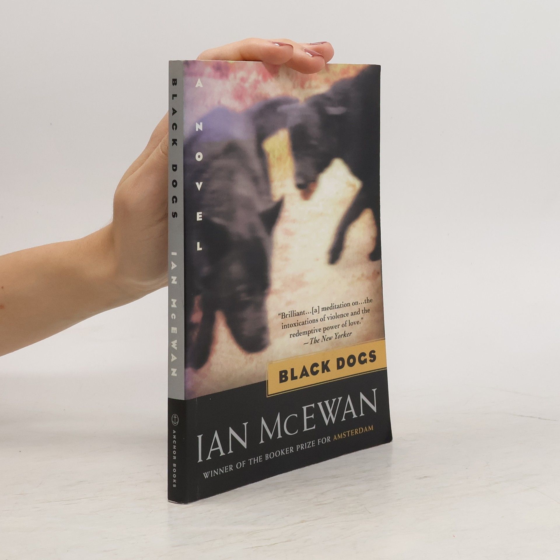 Ian McEwan Black Dogs