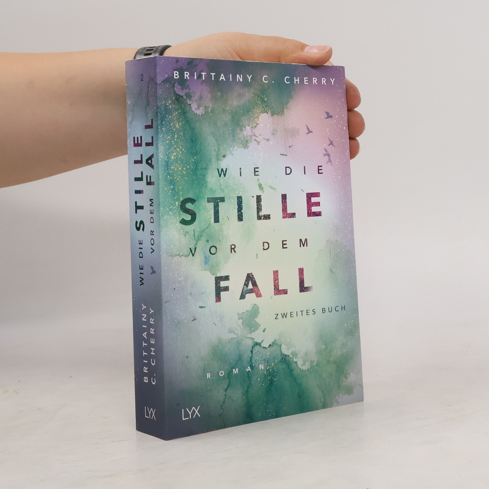 Brittainy C. Cherry Wie die Stille vor dem Fall 2