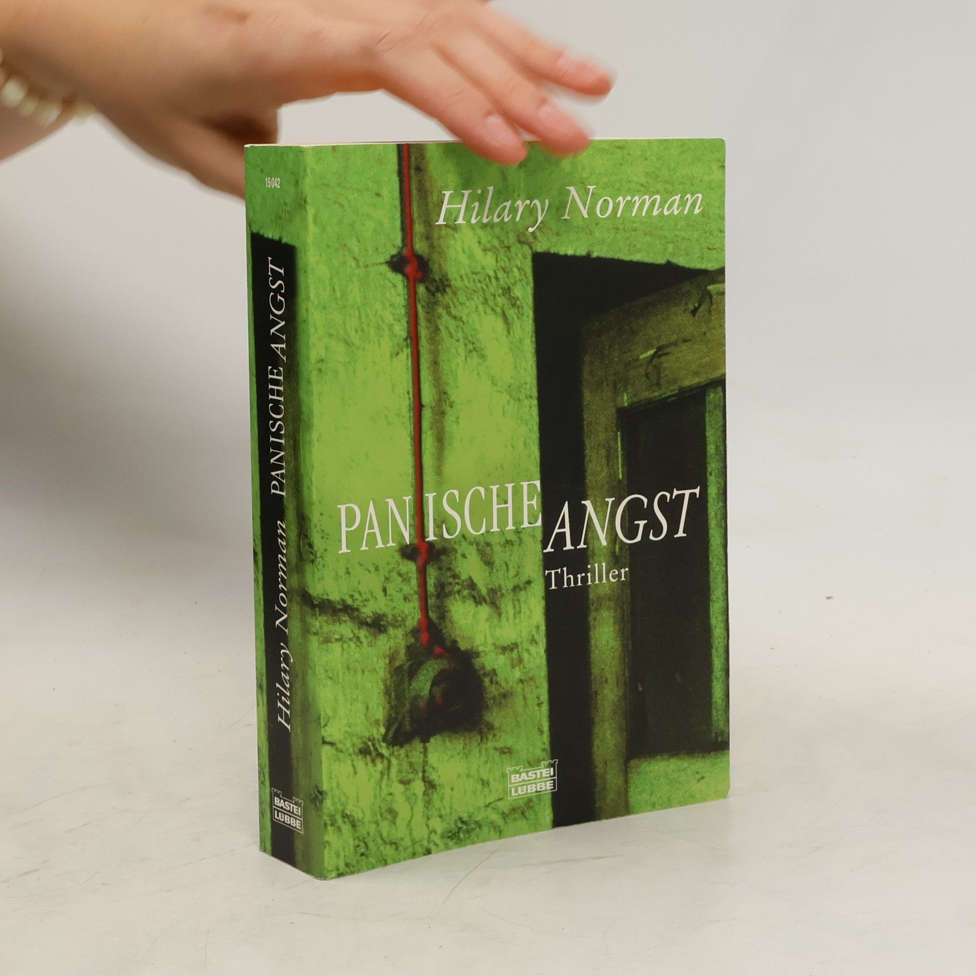 Hilary Norman Panische Angst