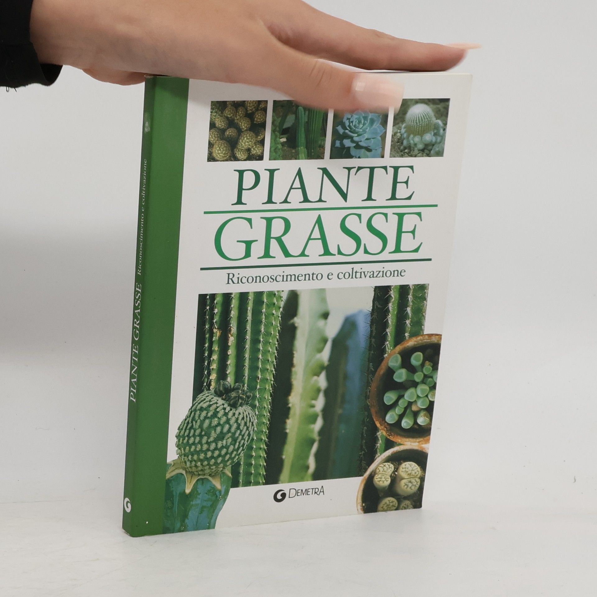 Autorenkollektiv Piante grasse