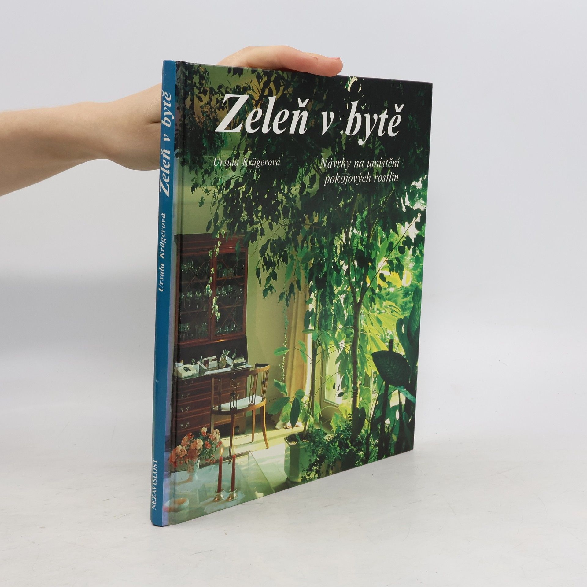 Ursula Krueger Zeleň v bytě. Návrhy na umístění pokojových rostlin