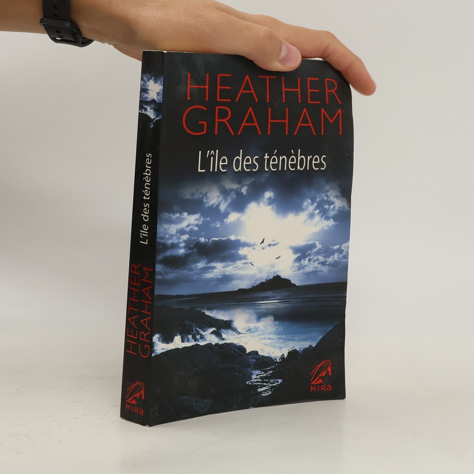 Heather Graham L'île des ténèbres