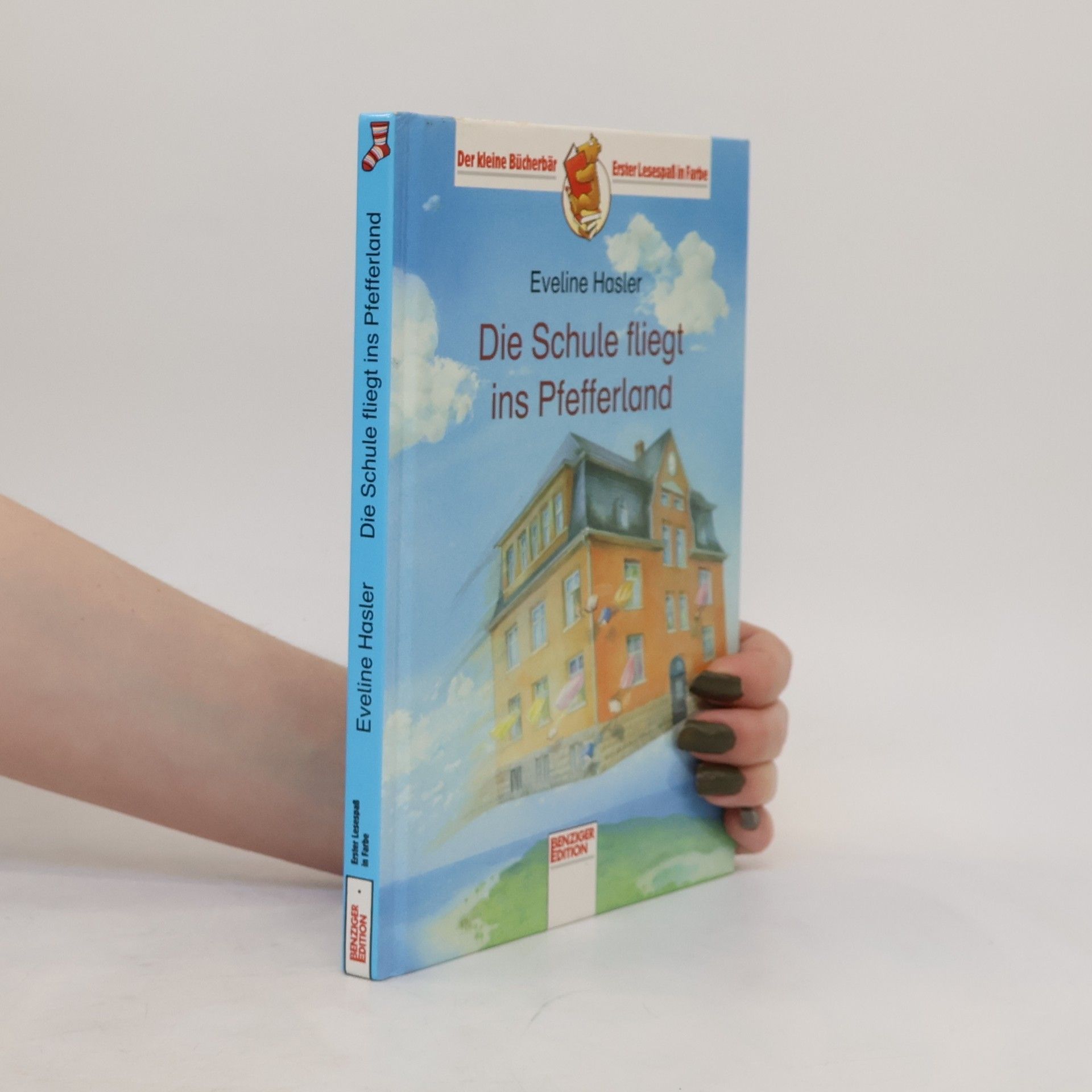 Eveline Hasler Die Schule fliegt ins Pfefferland