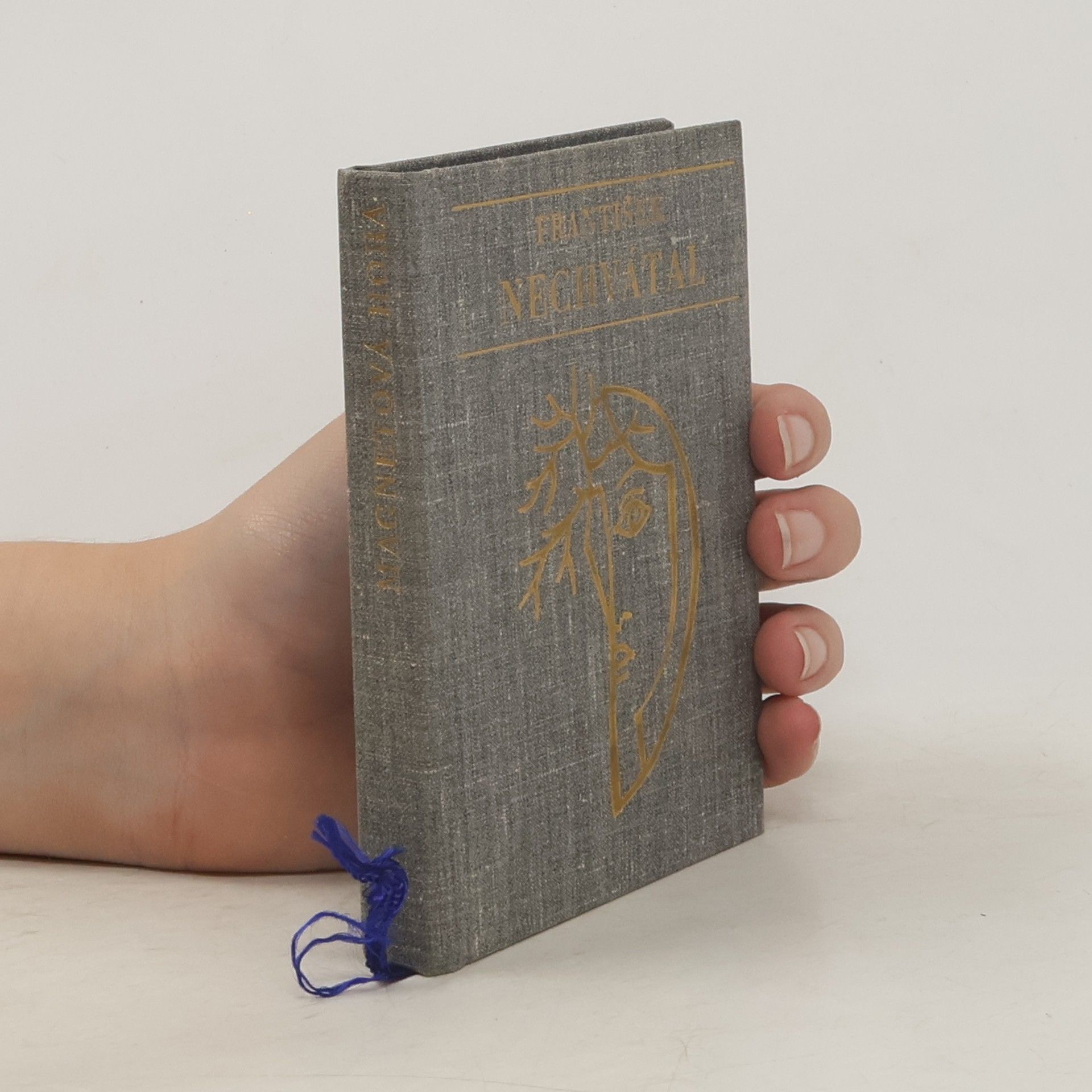 Collectif d'auteurs Magnetová hora