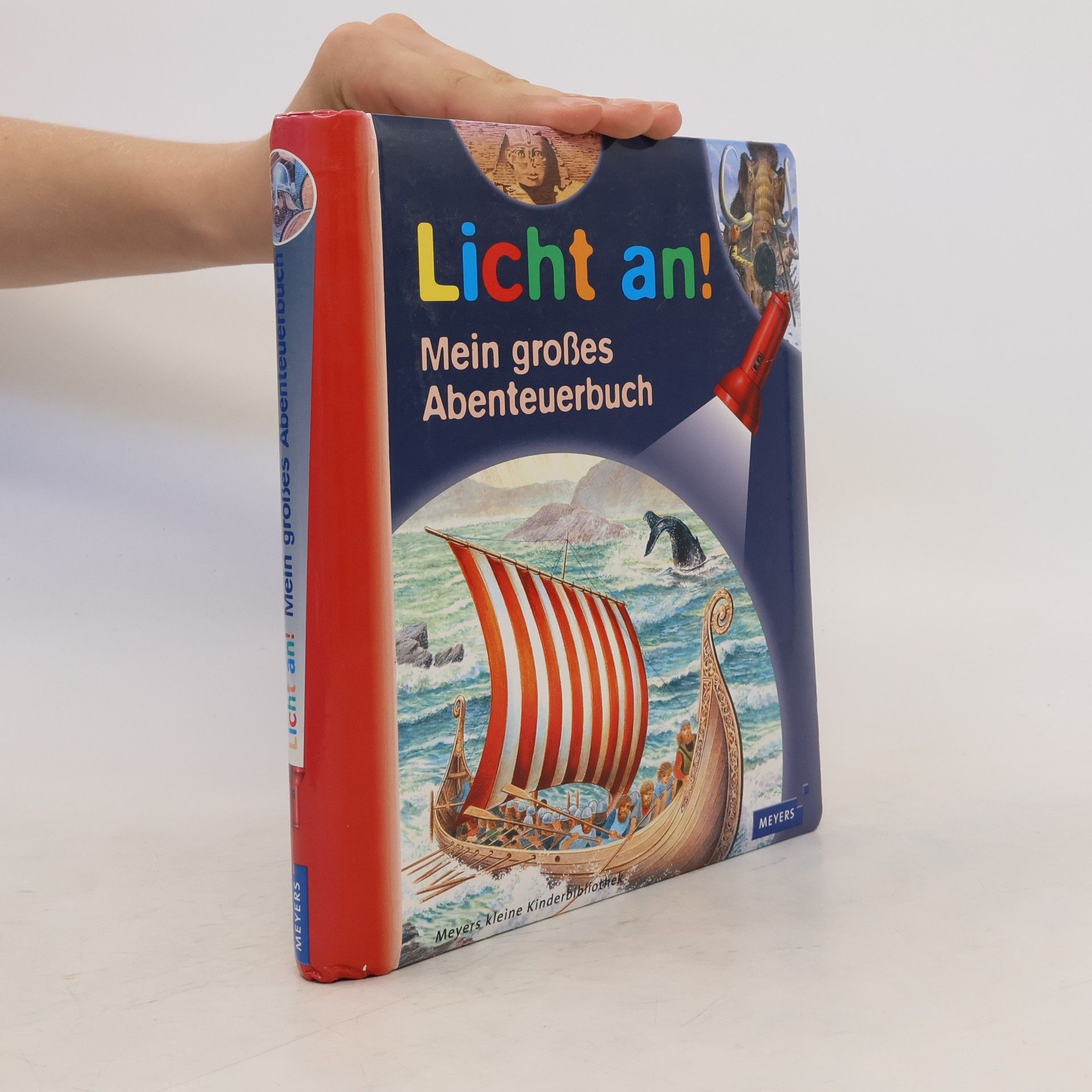 Philippe Biard Licht an! Mein großes Abenteuerbuch