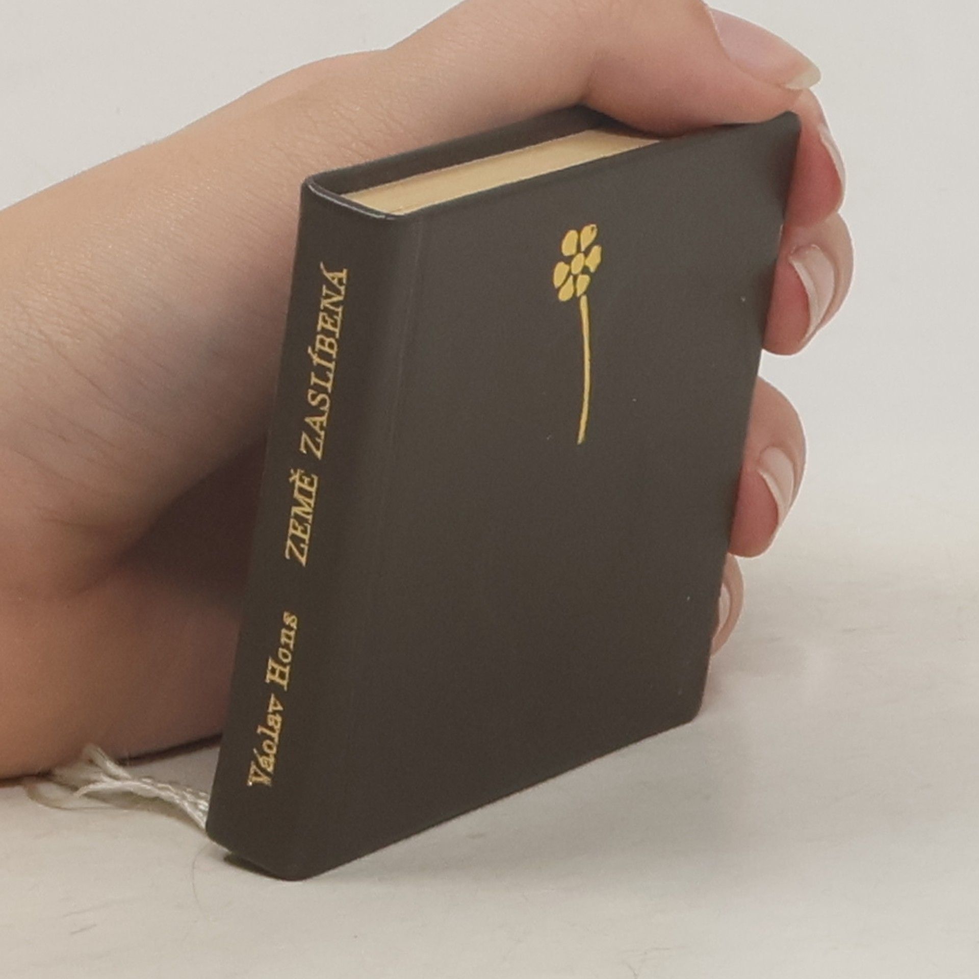 Václav Hons Země zaslíbená