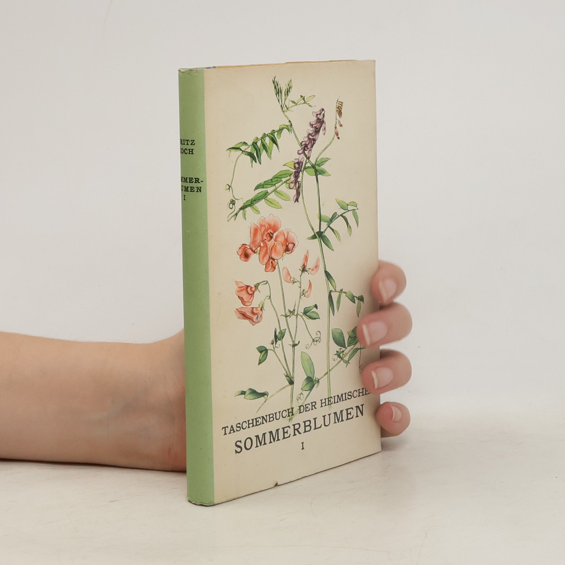 Fritz Koch Taschenbuch der heimischen Sommerblumen I