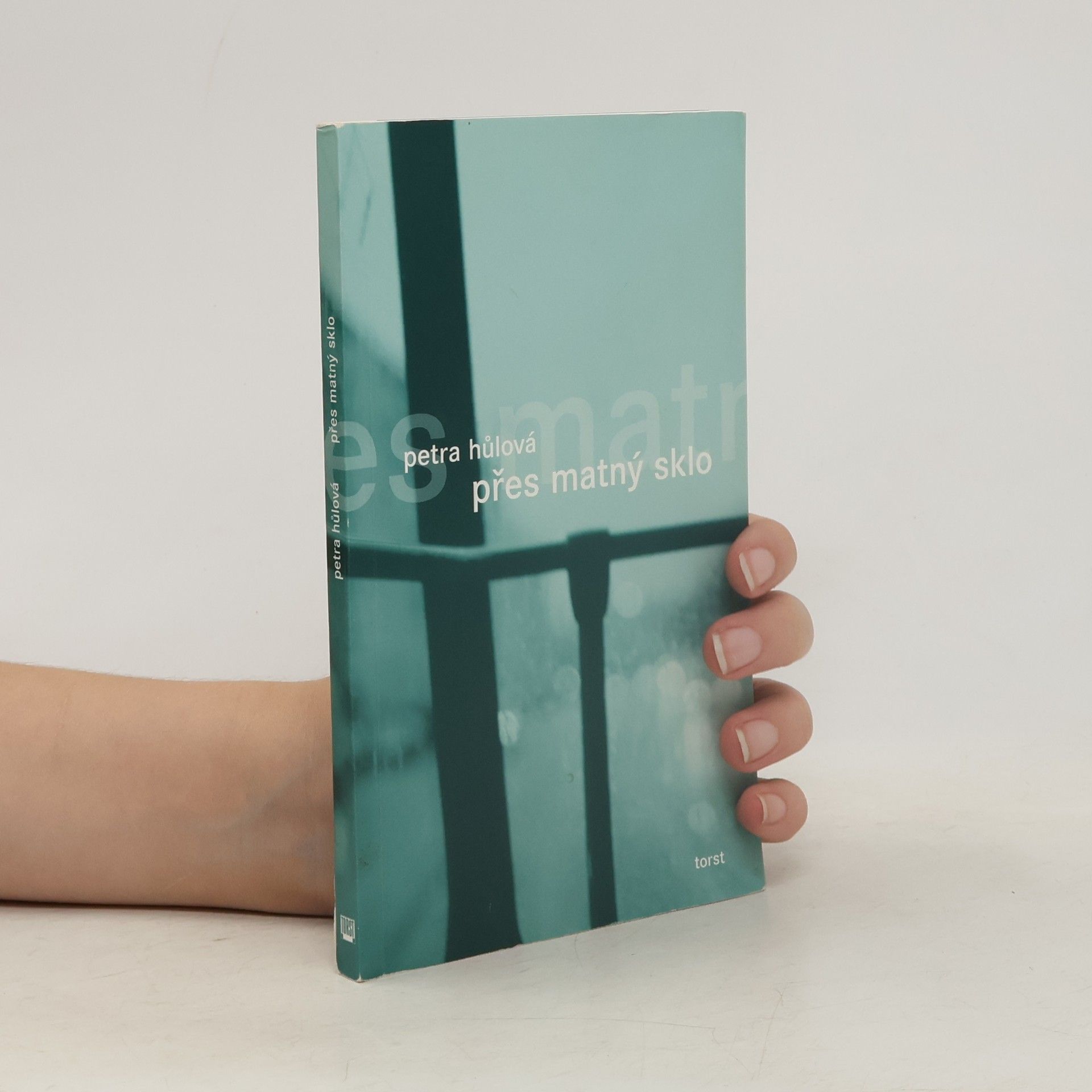 Petra Hůlová Přes matný sklo