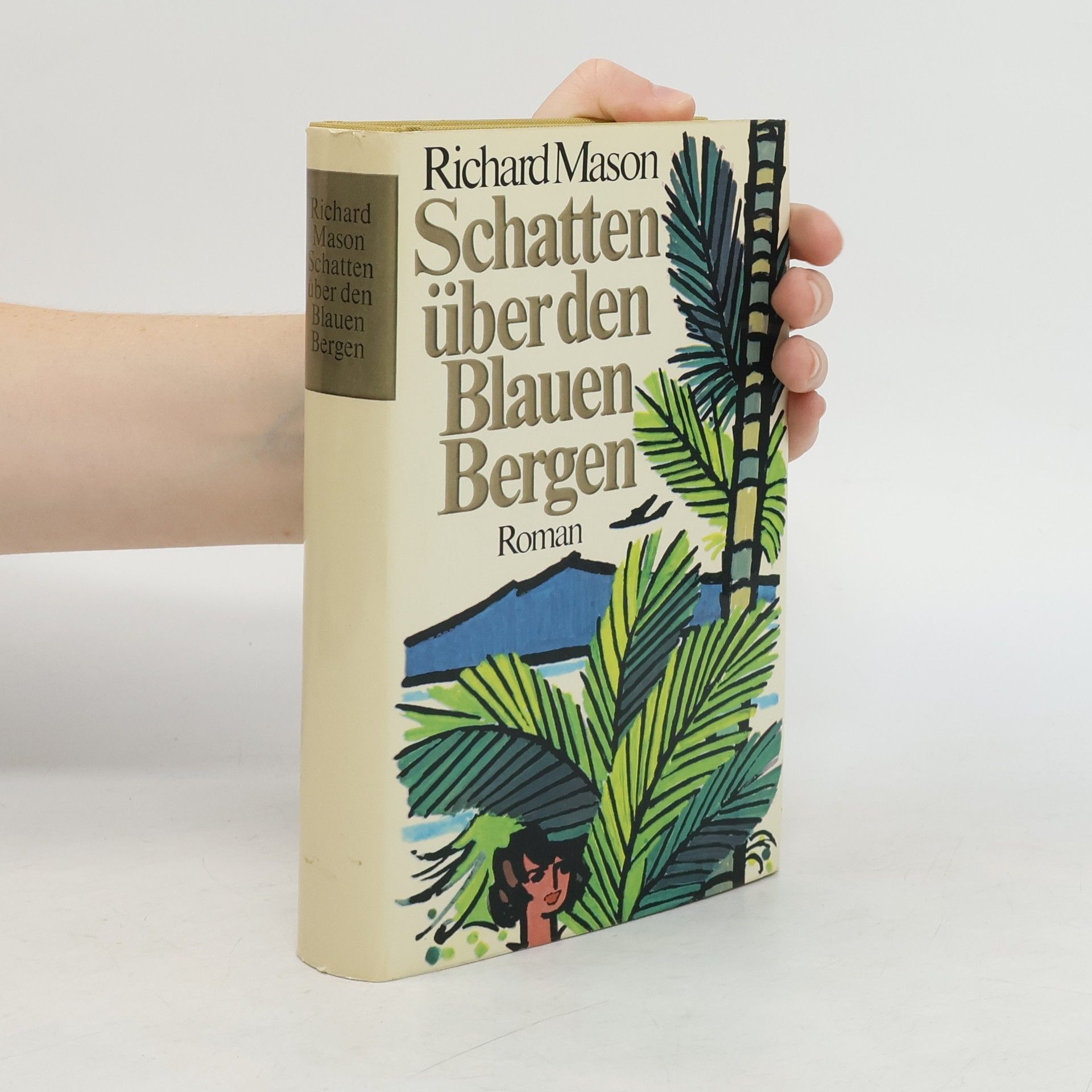 Richard Mason Schatten über den Blauen Bergen