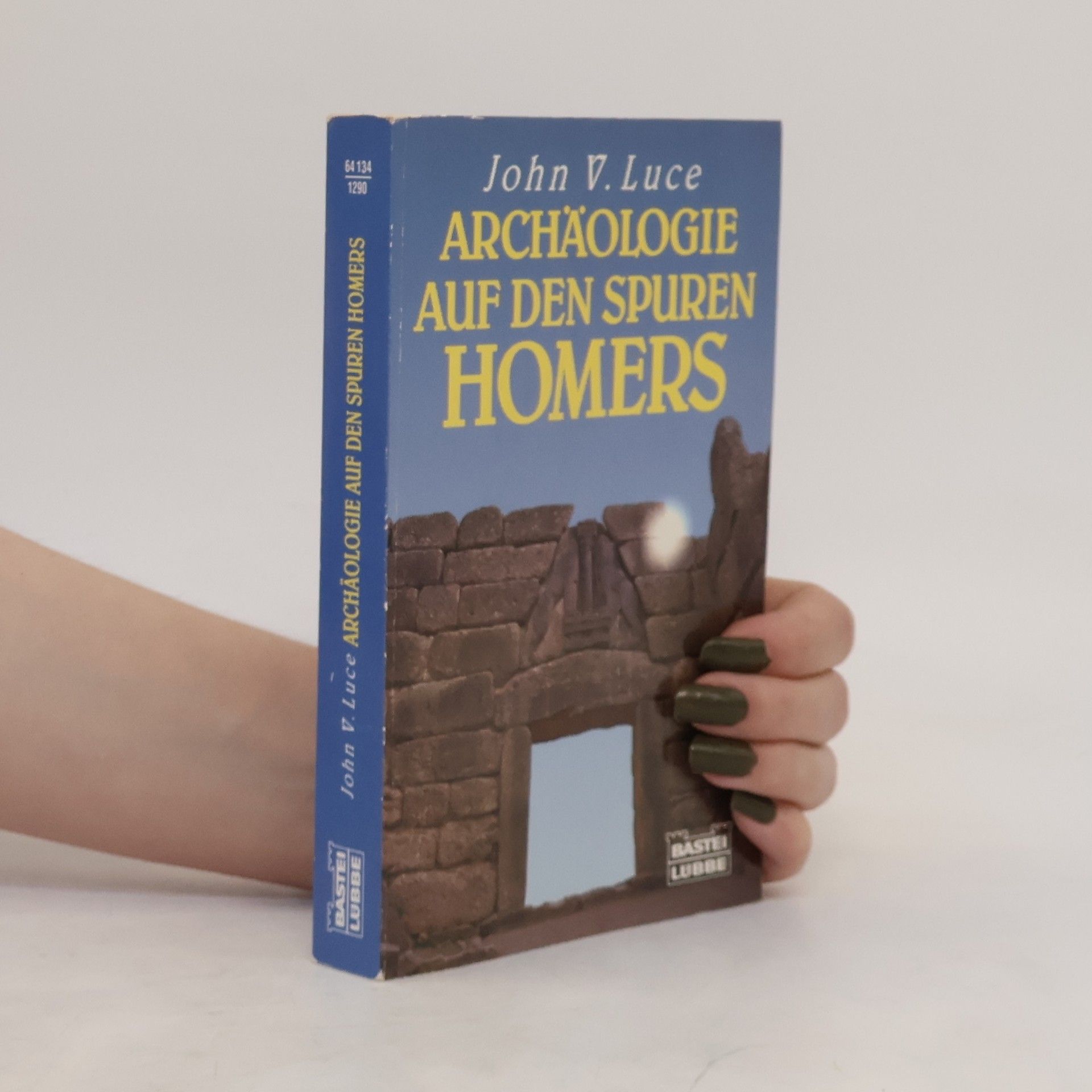 John Victor Luce Archäologie auf den Spuren Homers