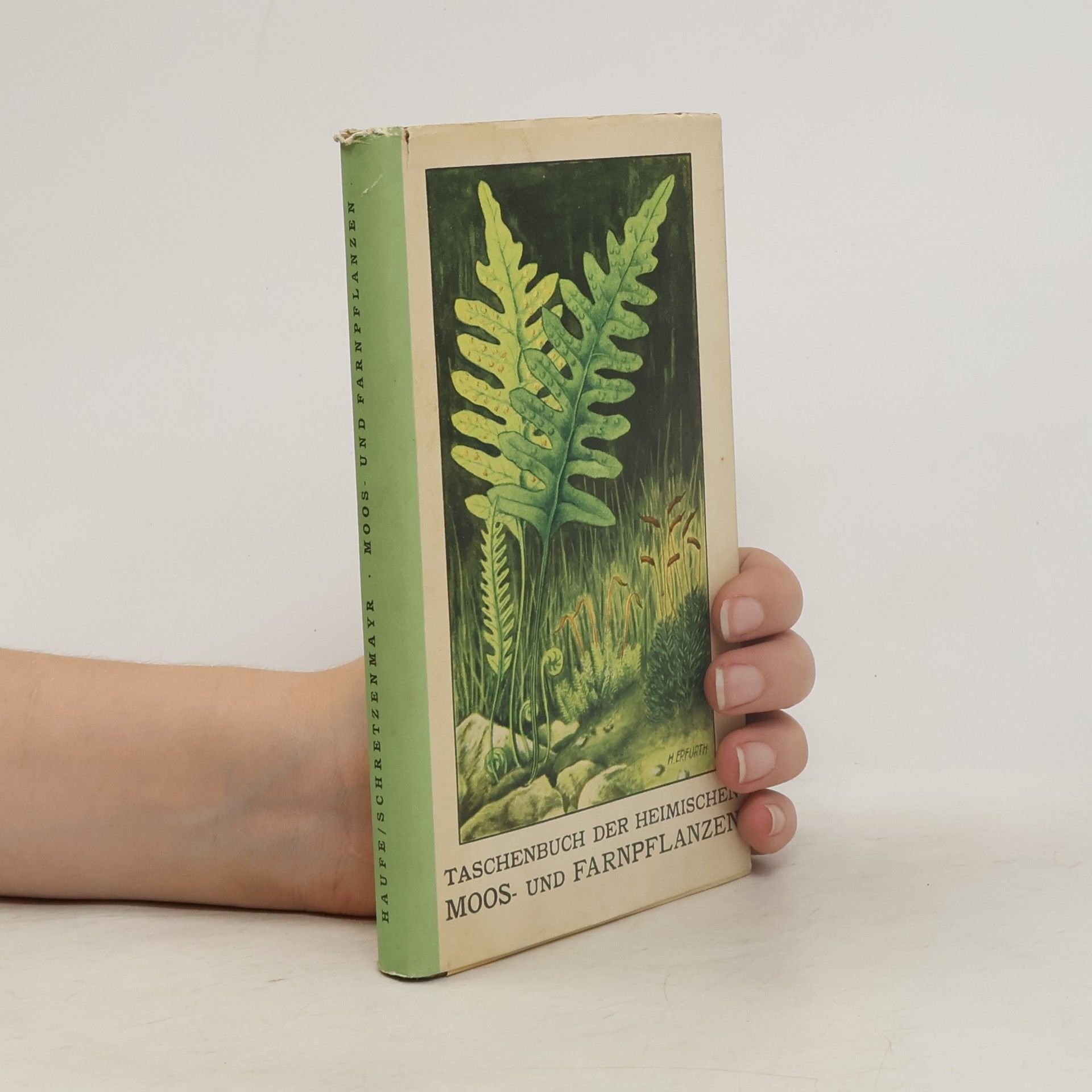 Hermann Erfurth Taschenbuch der heimischen Moos- und Farnpflanzen