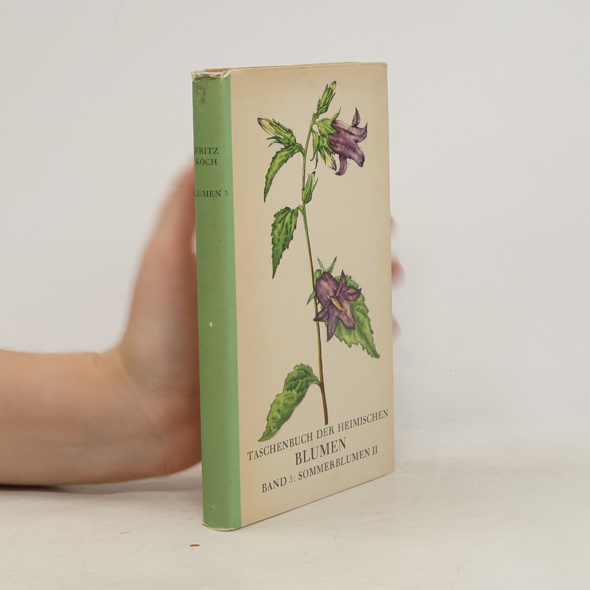 Fritz Koch-Gotha Taschenbuch der heimischen Blumen. Band 3. Sommerblumen. II