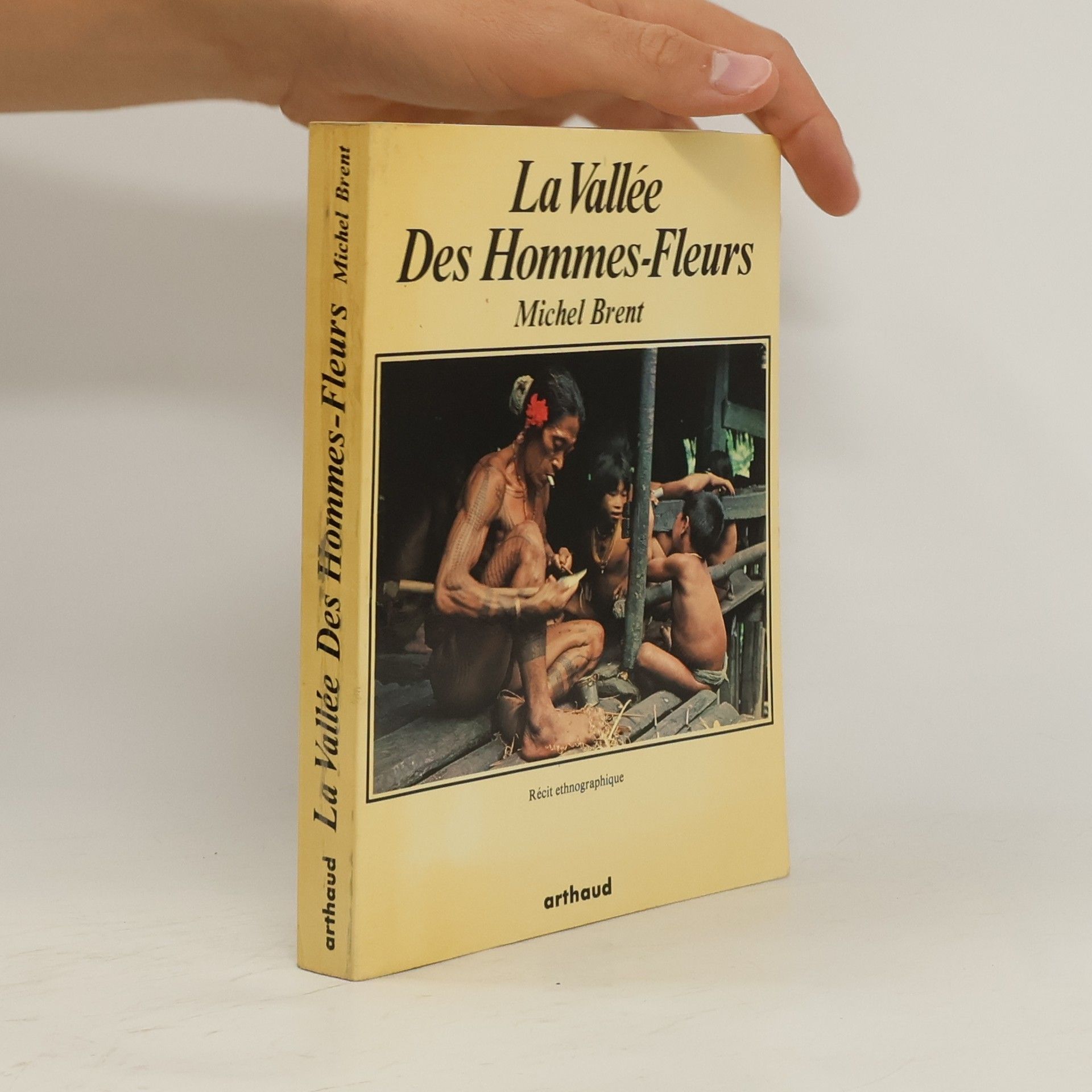 Michele Brenton La Vallée des hommes-fleurs