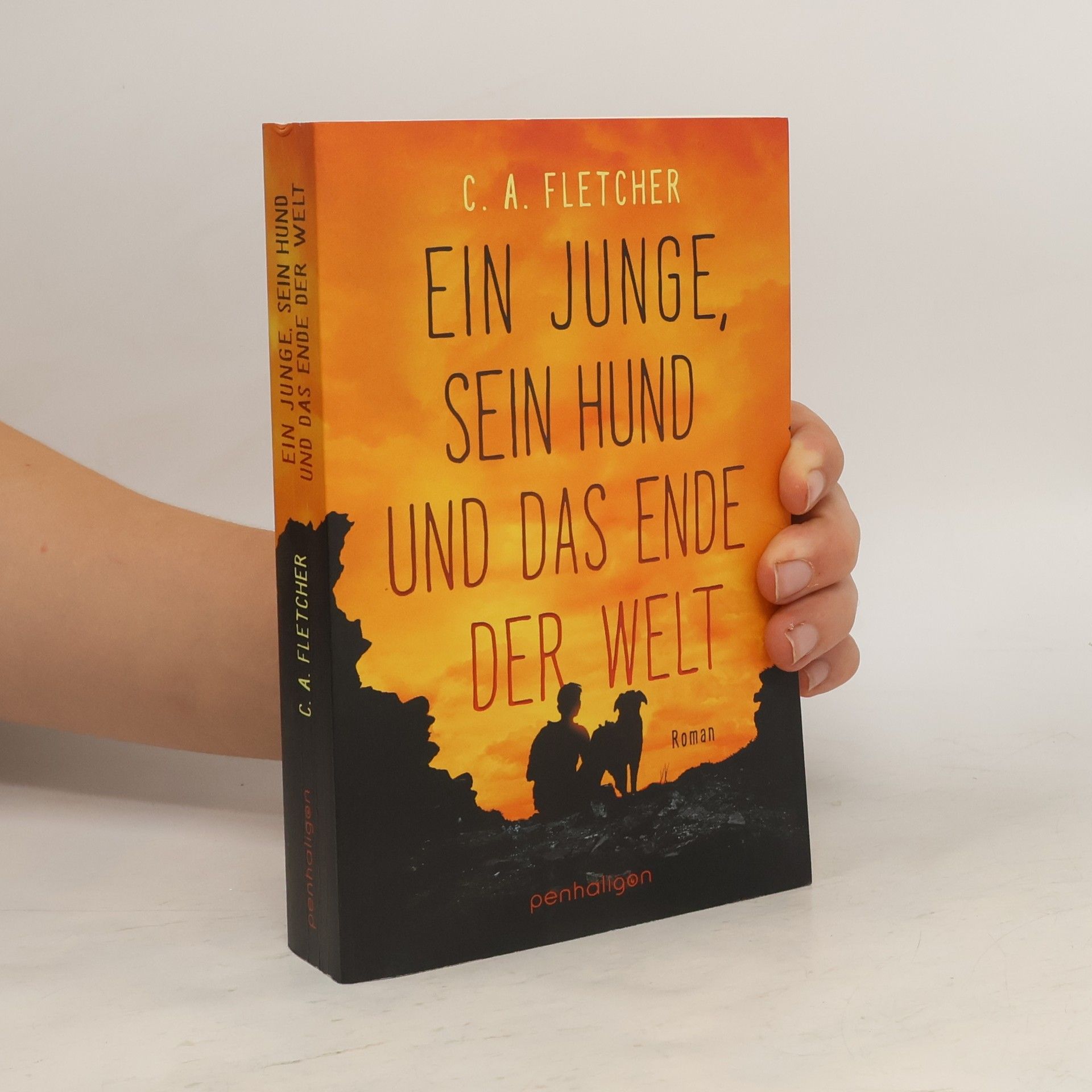 Charlie Fletcher Ein Junge, sein Hund und das Ende der Welt