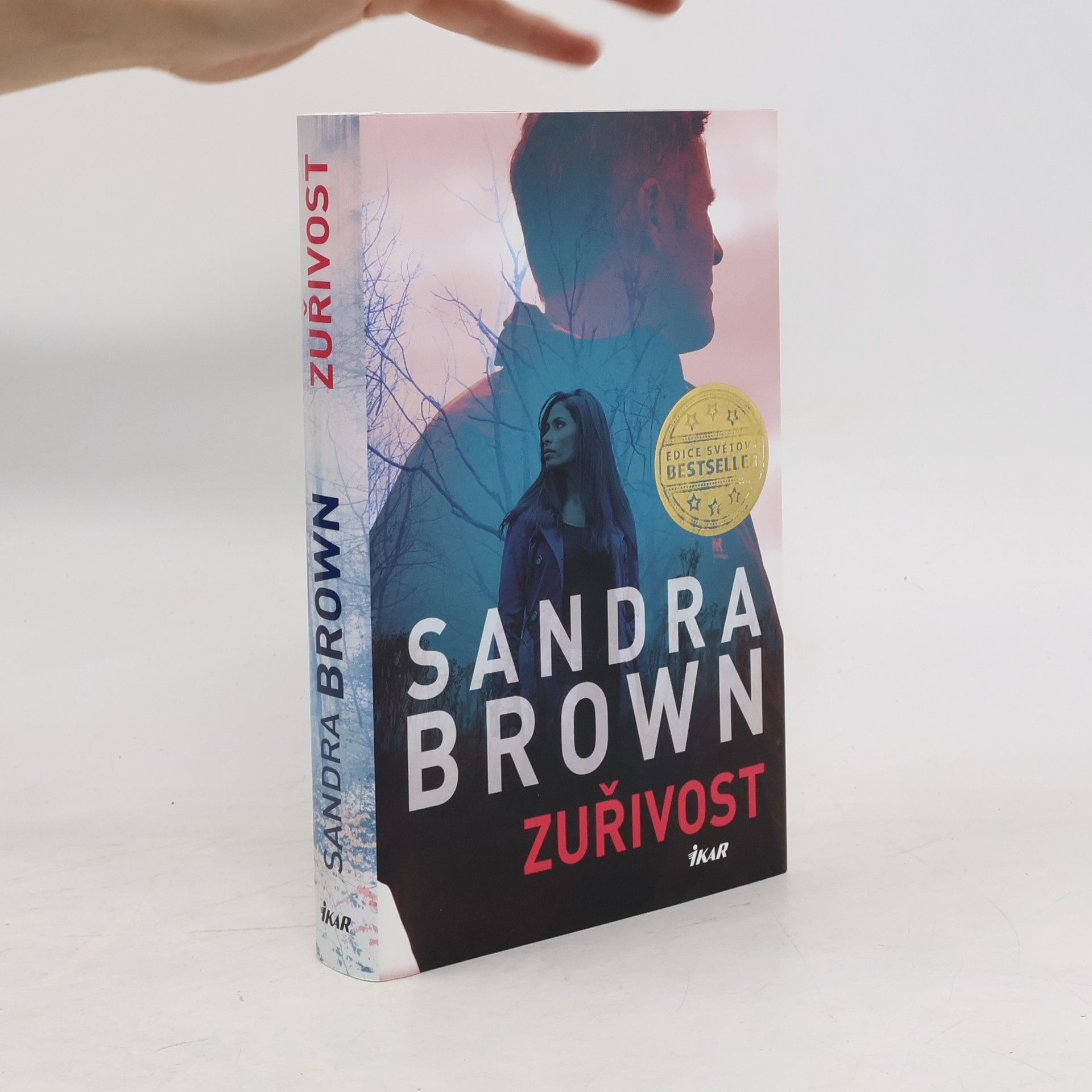 Sandra Brown Zuřivost