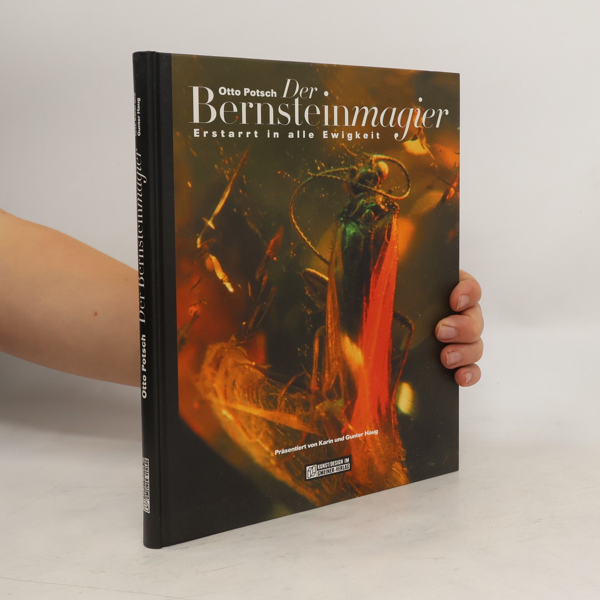 Otto Potsch Der Bernsteinmagier