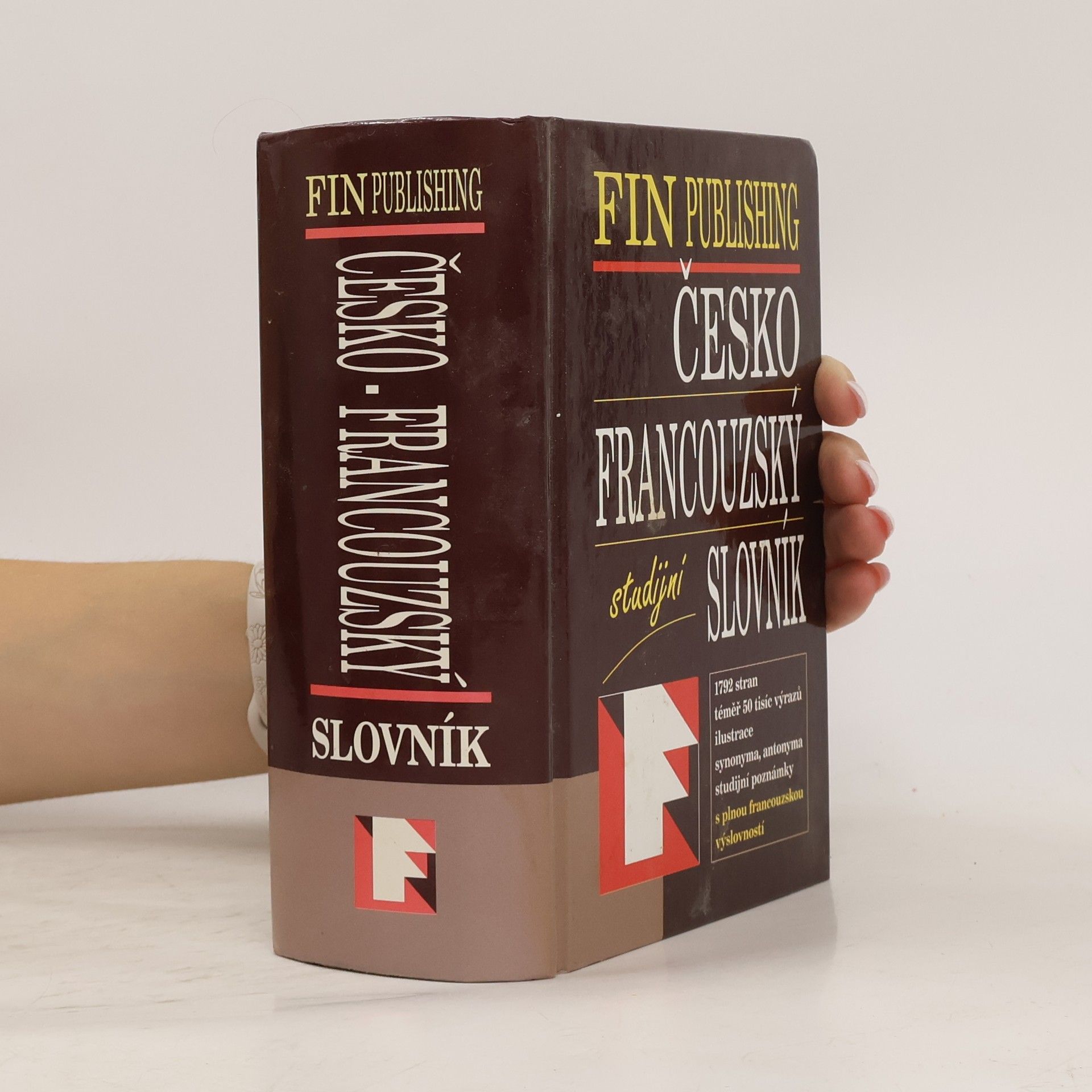 Collectif d'auteurs Česko-francouzský slovník
