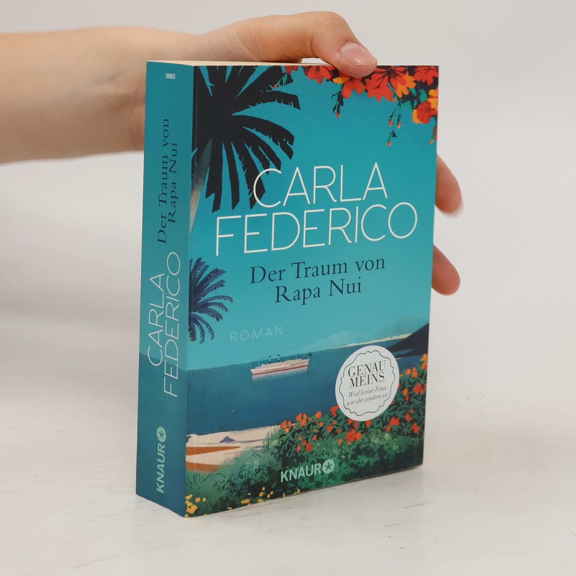 Carla Federico Der Traum von Rapa Nui