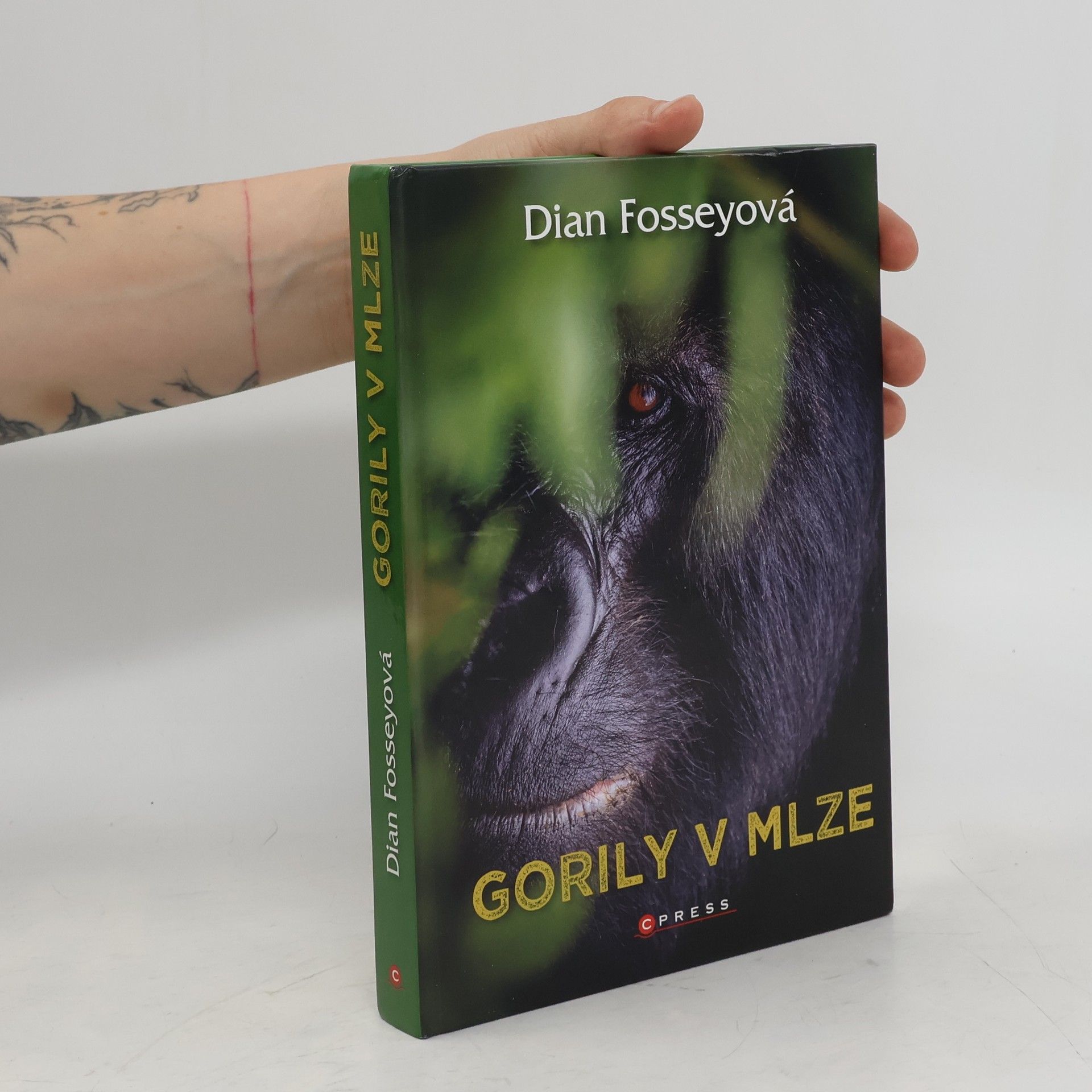Dian Fossey Gorily v mlze
