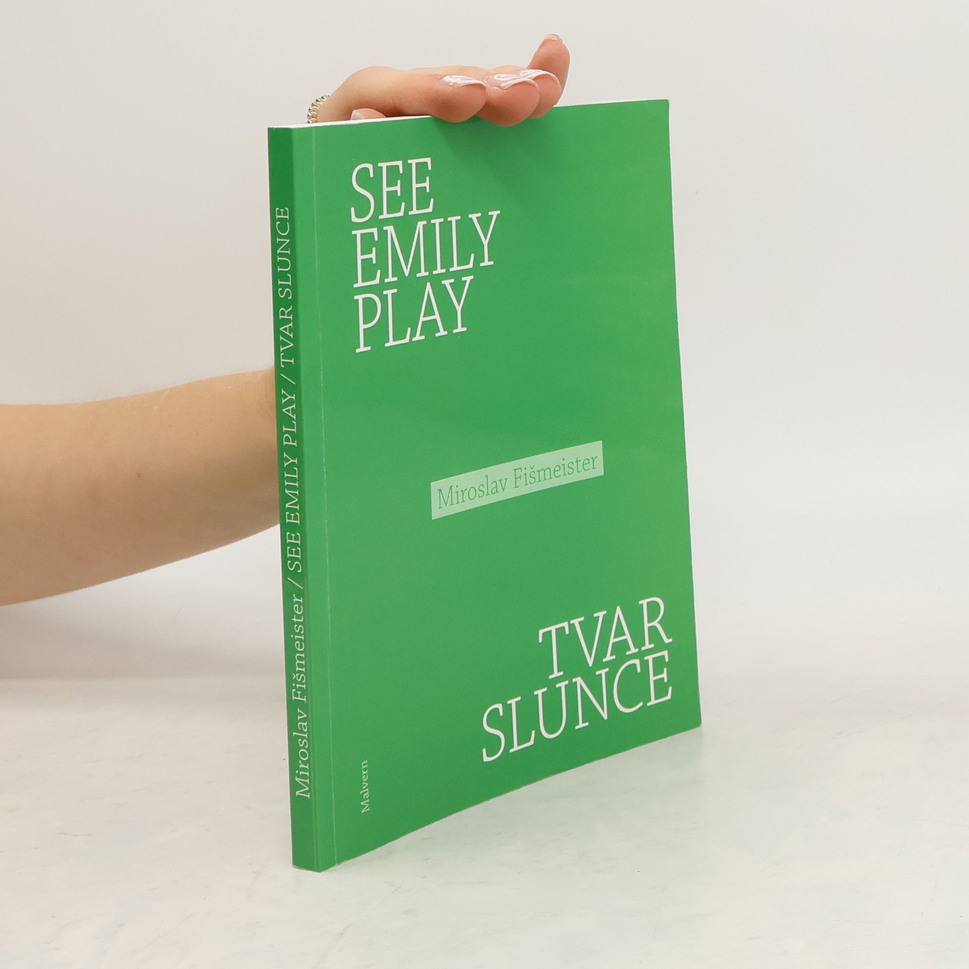 Miroslav Fišmeister See Emily Play / Tvar slunce