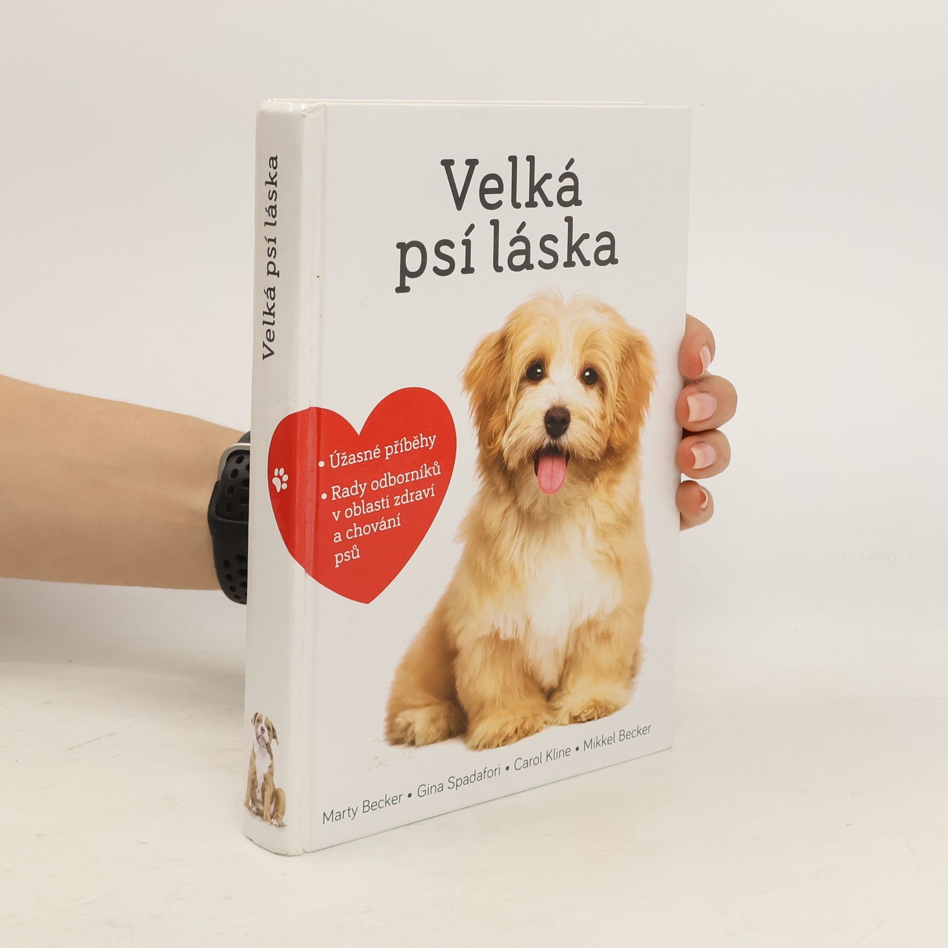 Marty Becker Velká psí láska: Příběhy, rady a úžasné fotografie psích bytostí