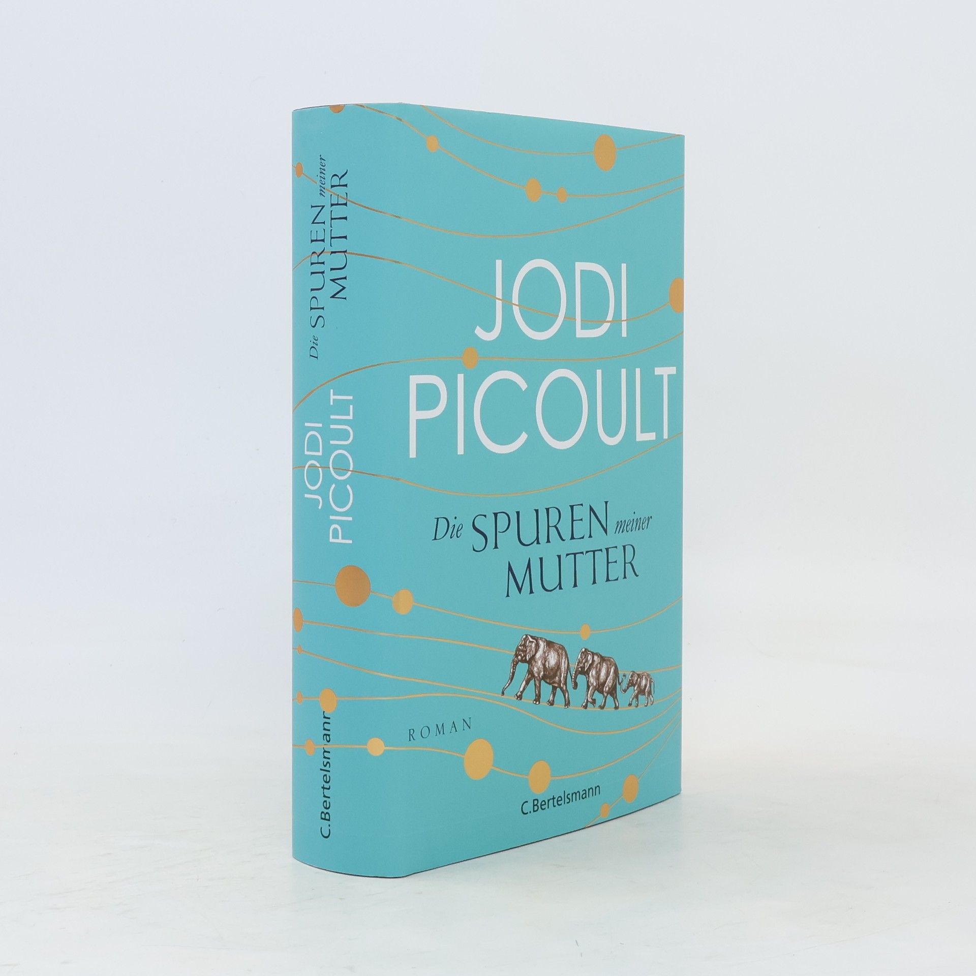 Jodi Picoult Die Spuren meiner Mutter