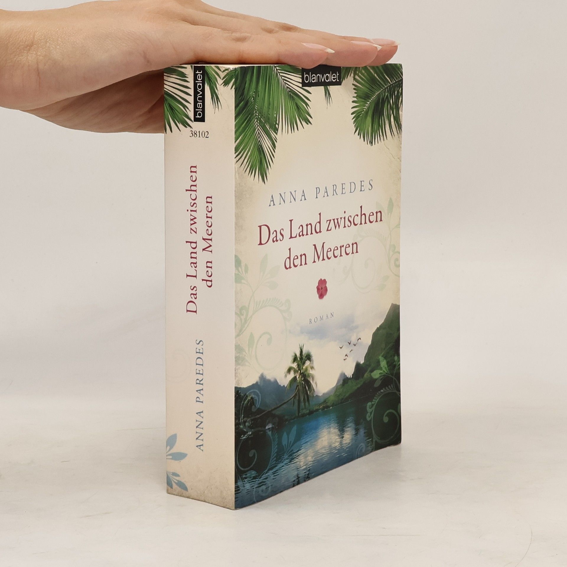 Anna Paredes Das Land zwischen den Meeren