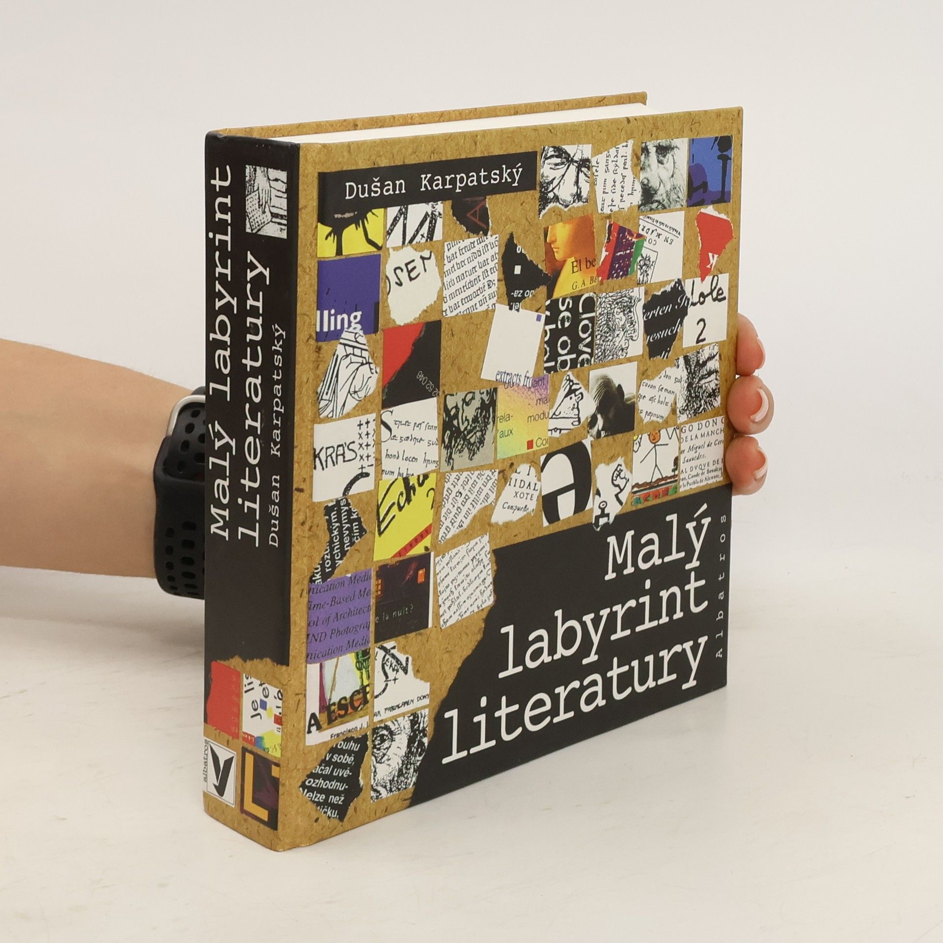 Dušan Karpatský Malý labyrint literatury