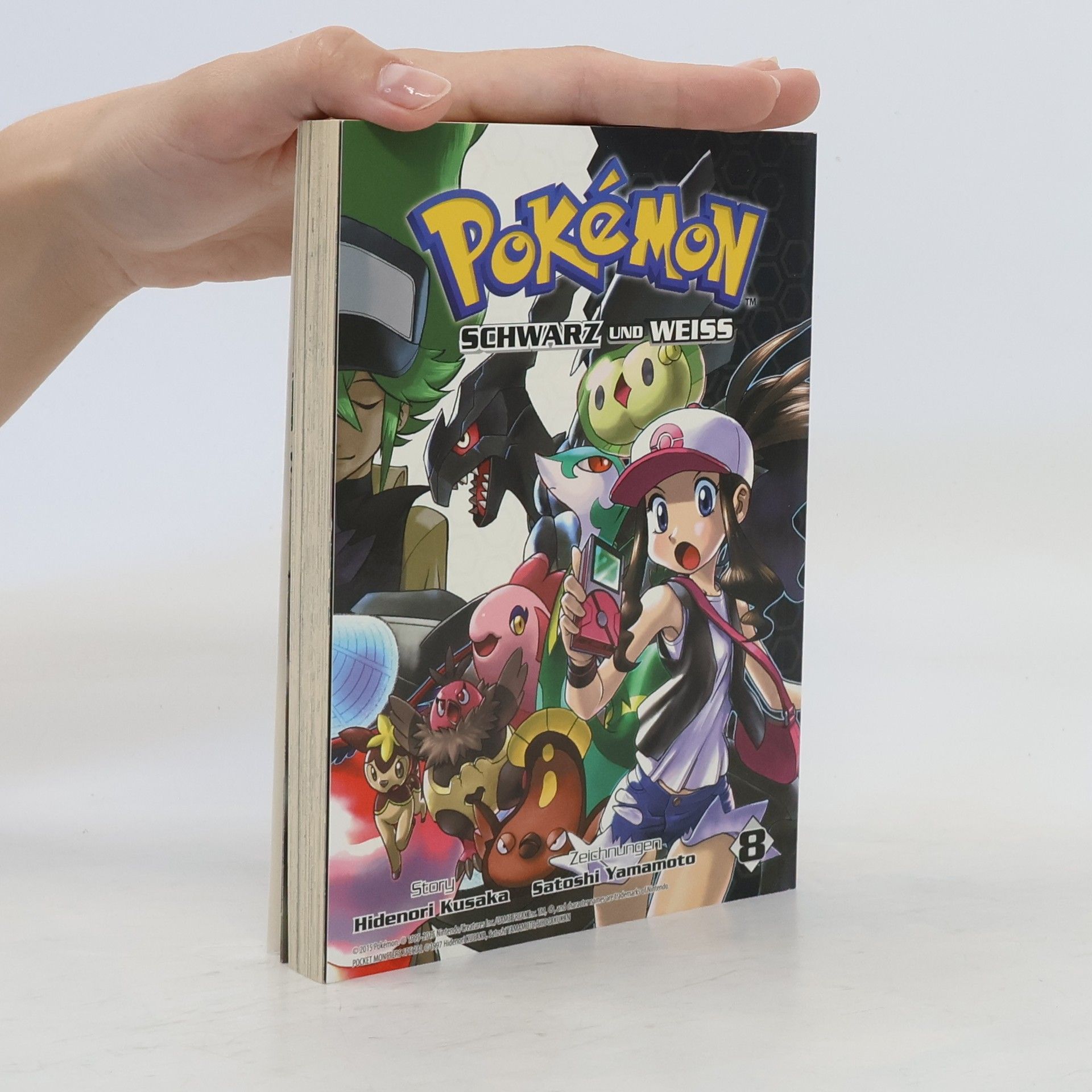 Hidenori Kusaka Pokémon schwarz und weiss 8