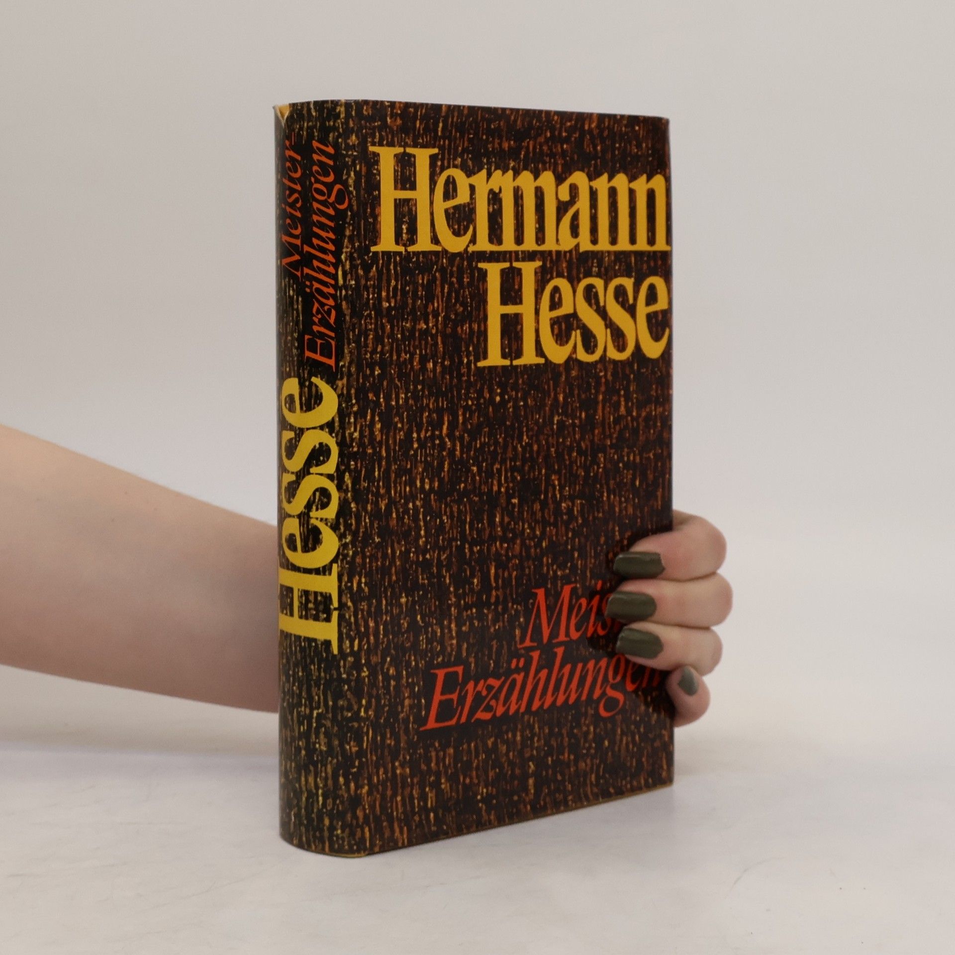 Hermann Hesse Meister Erzählungen