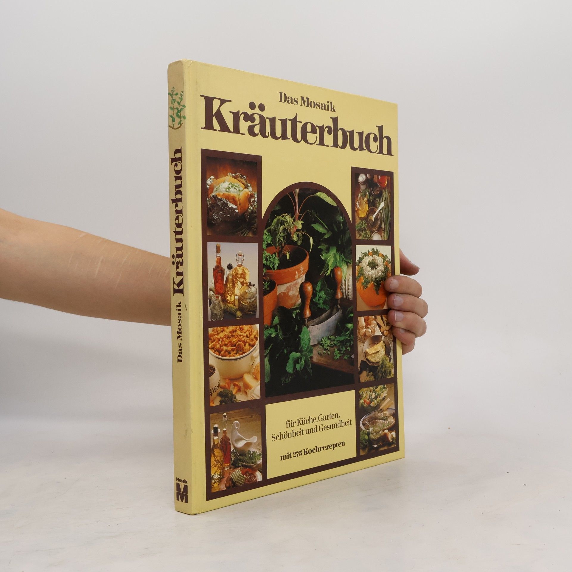 Arabella Boxer Das Mosaik-Kräuterbuch