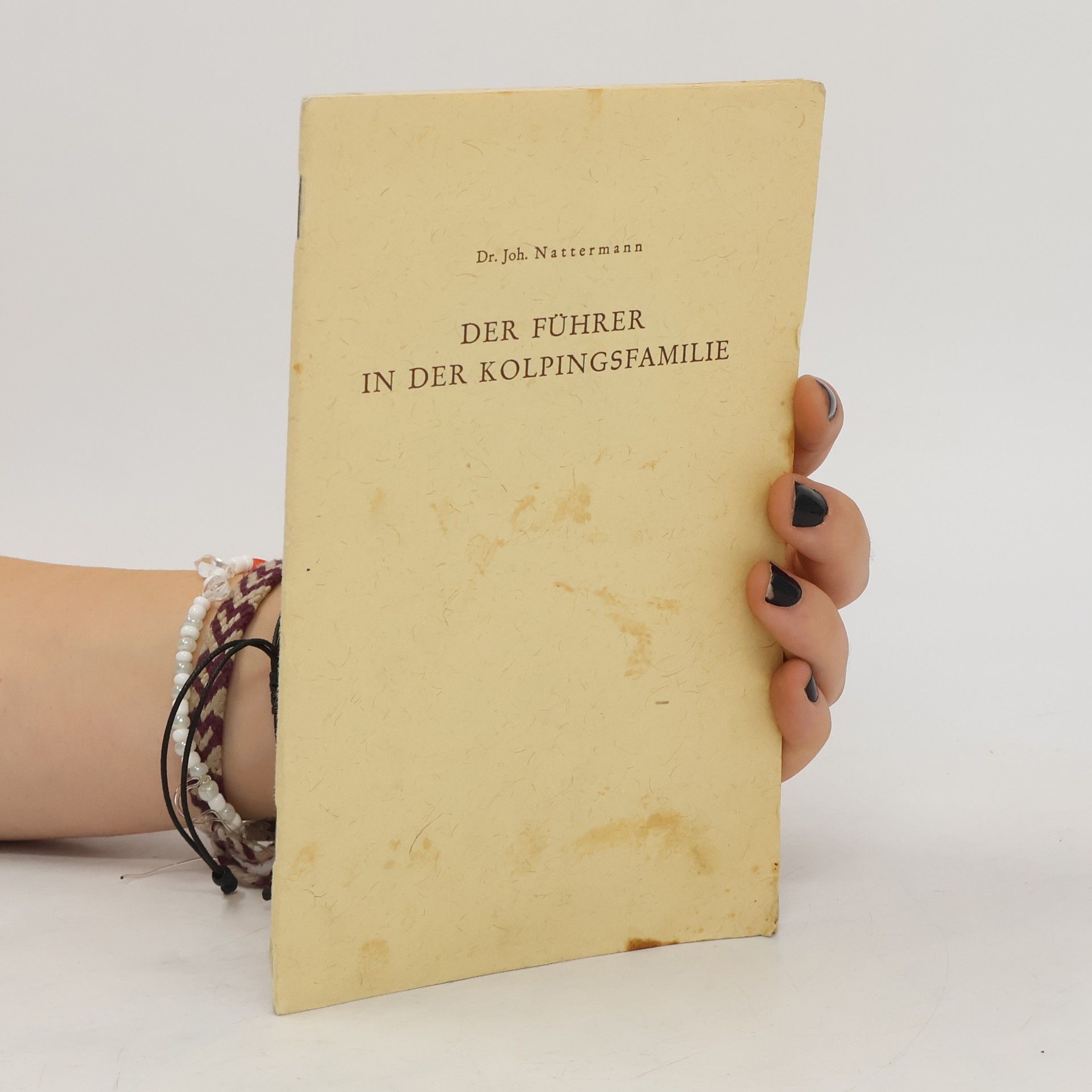 Johannes Christian Nattermann Der Führer in der Kolpingsfamilie