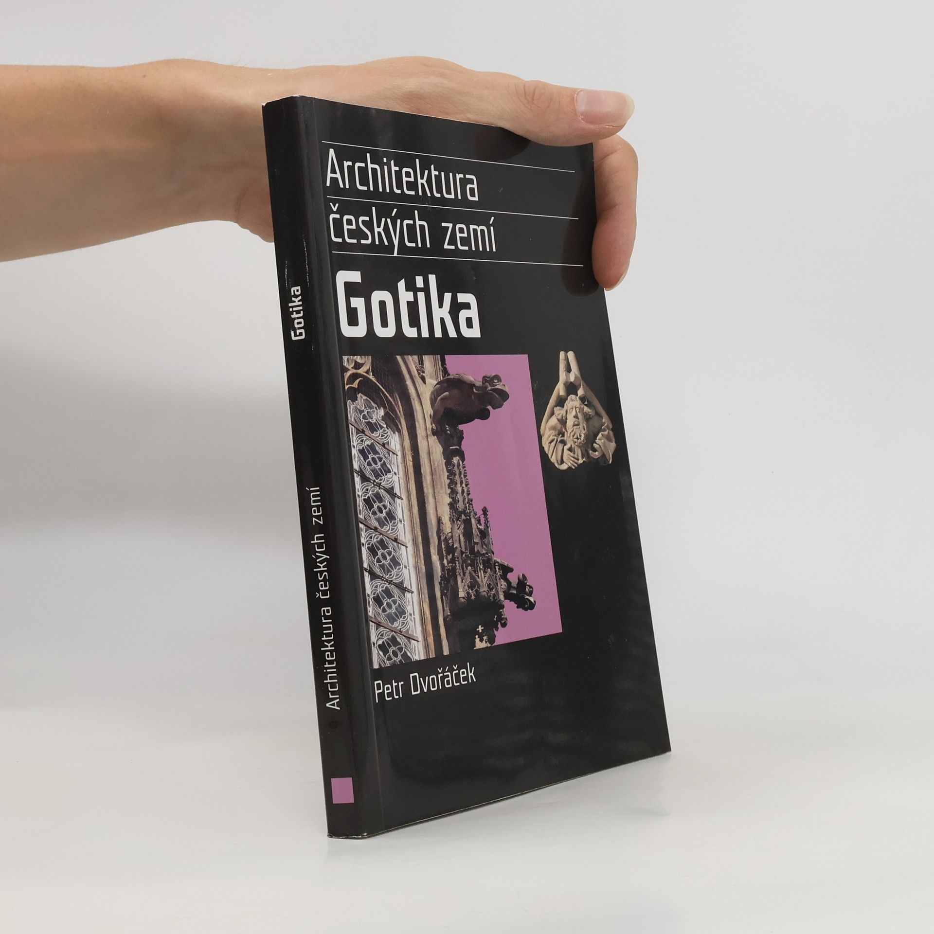 Petr Dvořáček Gotika. Architektura českých zemí